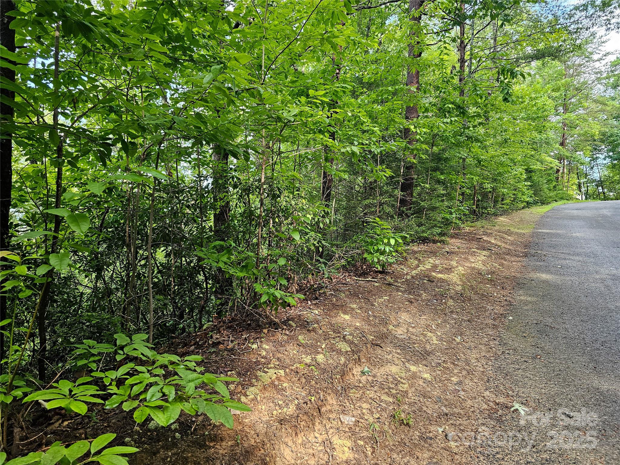 Rumbling Bald on Lake Lure - Land