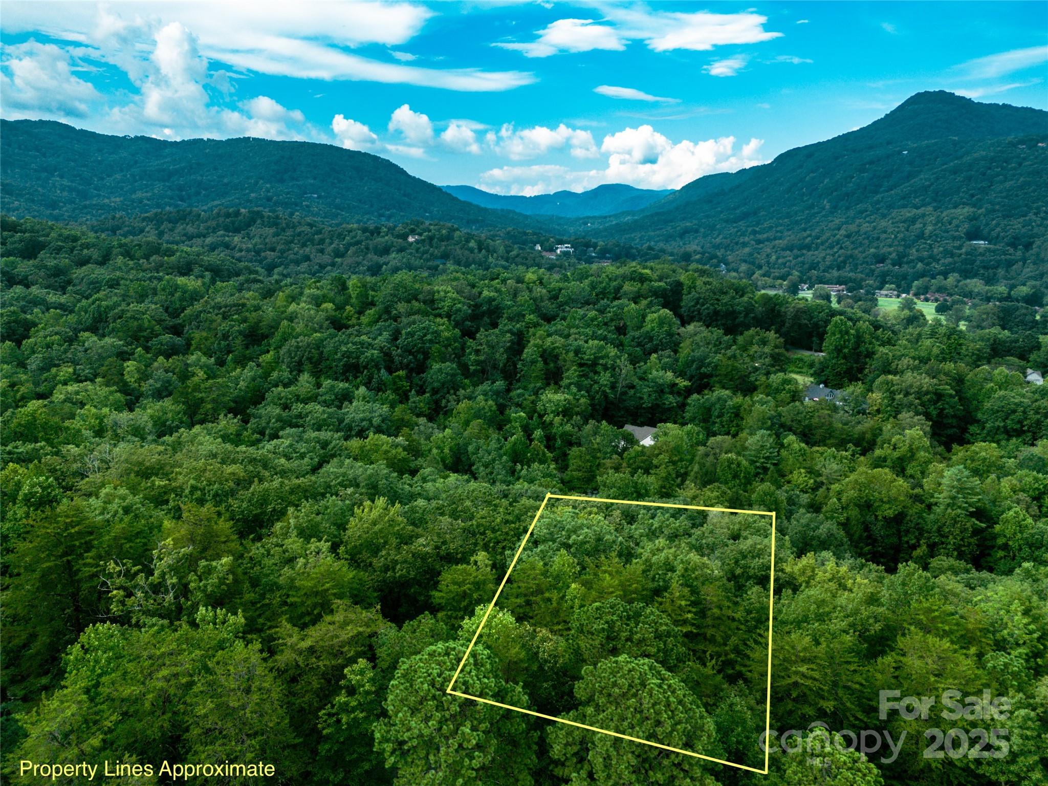 Rumbling Bald on Lake Lure - Land