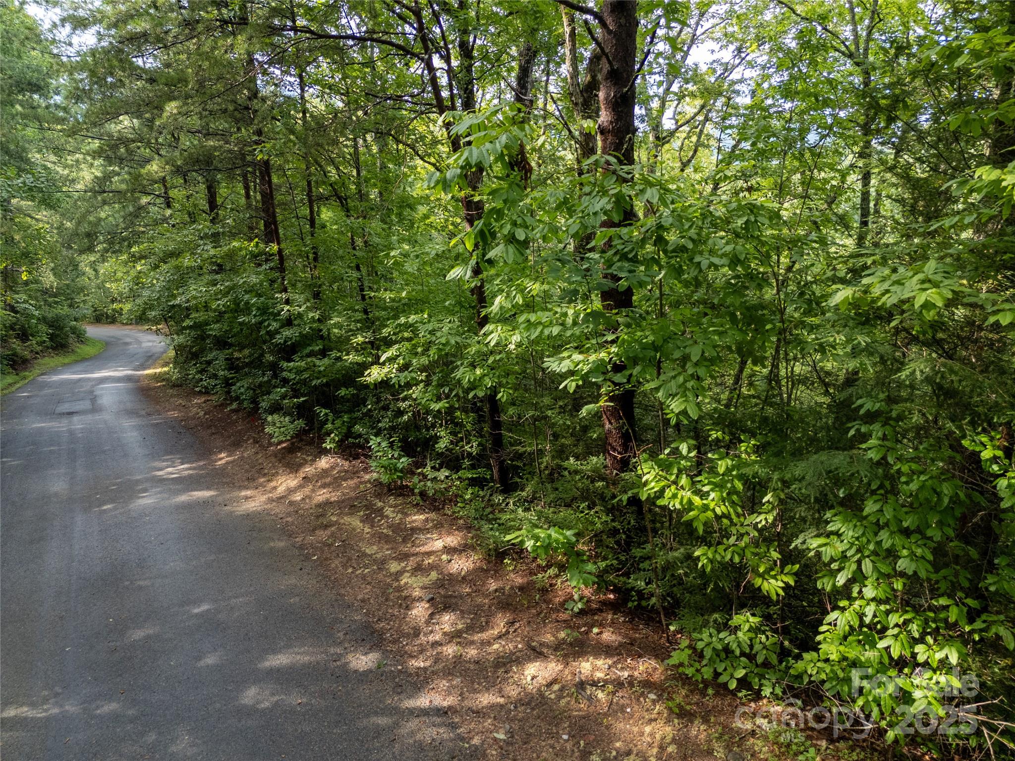 Rumbling Bald on Lake Lure - Land
