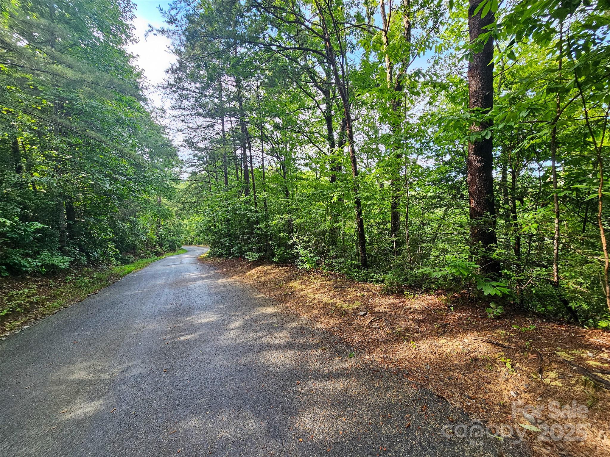 Rumbling Bald on Lake Lure - Land