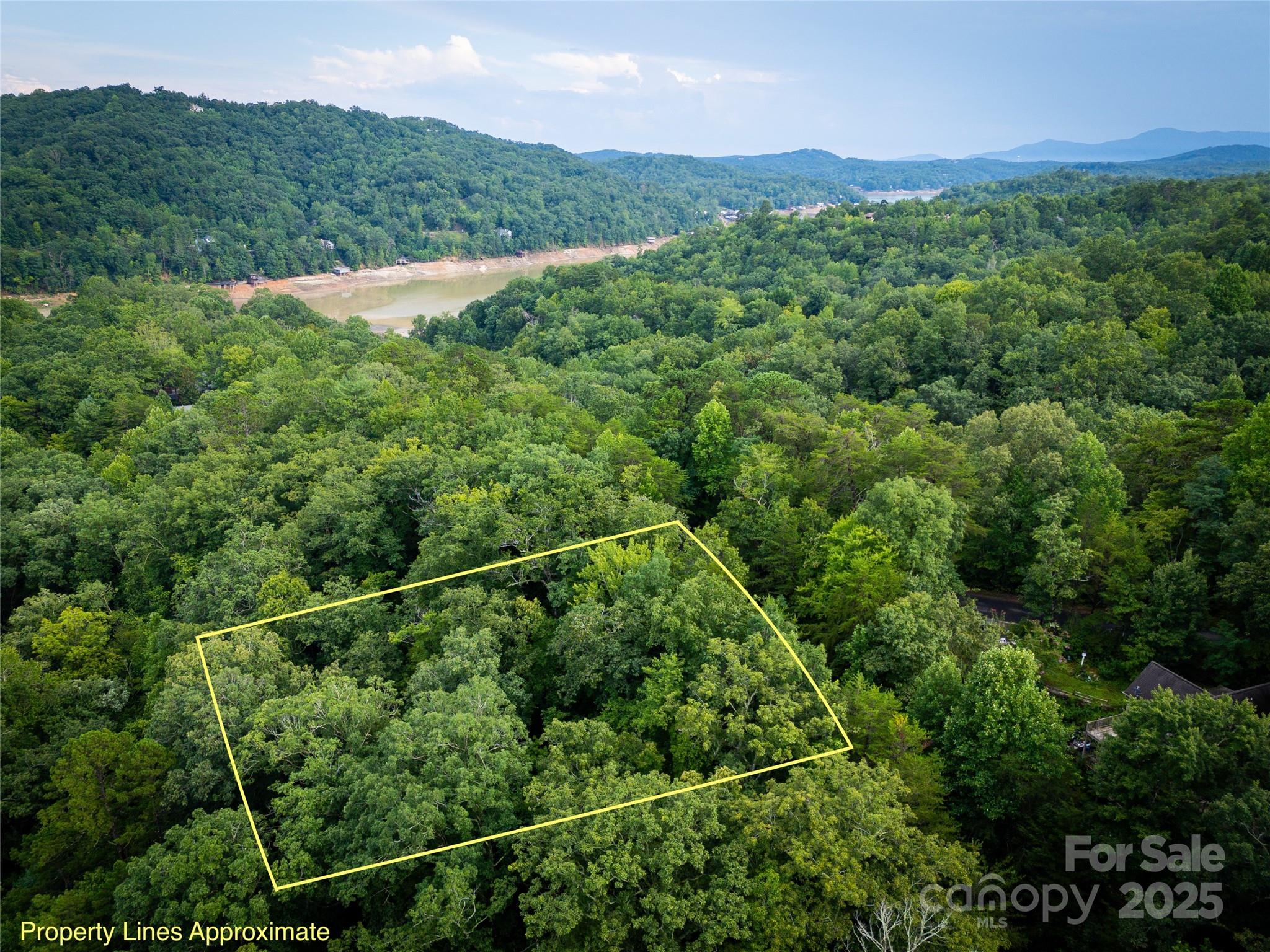 Rumbling Bald on Lake Lure - Land
