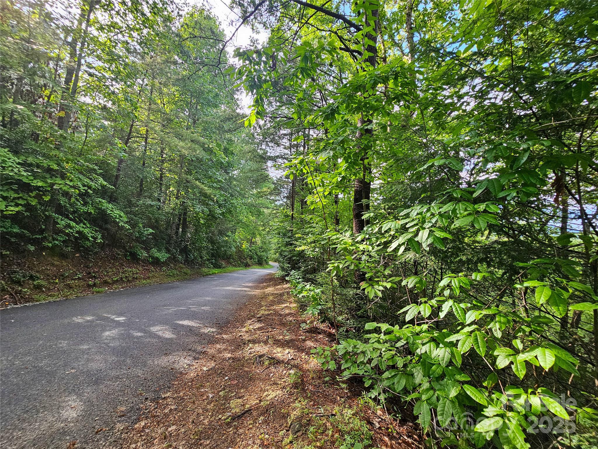 Rumbling Bald on Lake Lure - Land
