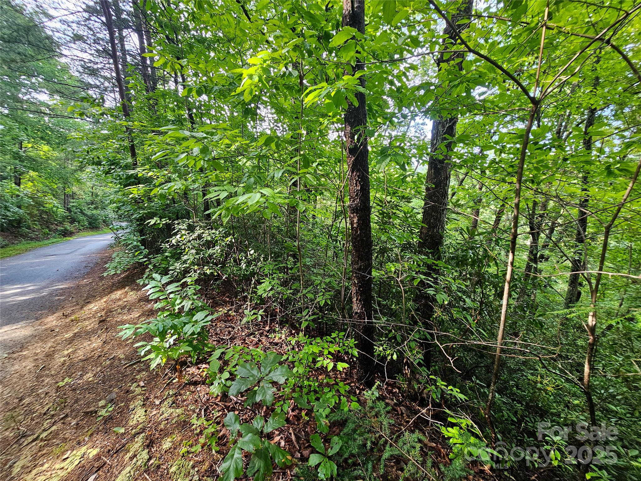 Rumbling Bald on Lake Lure - Land
