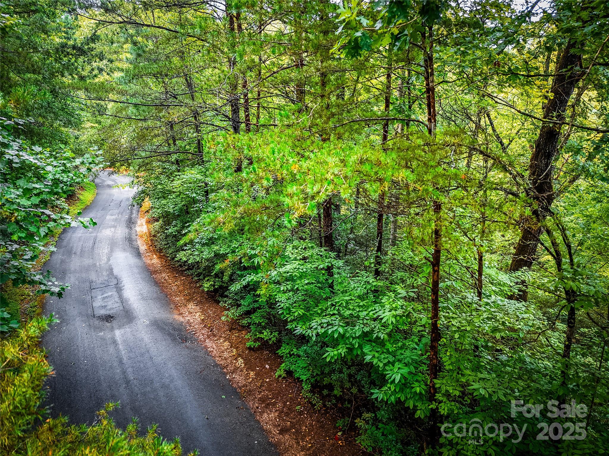 Rumbling Bald on Lake Lure - Land