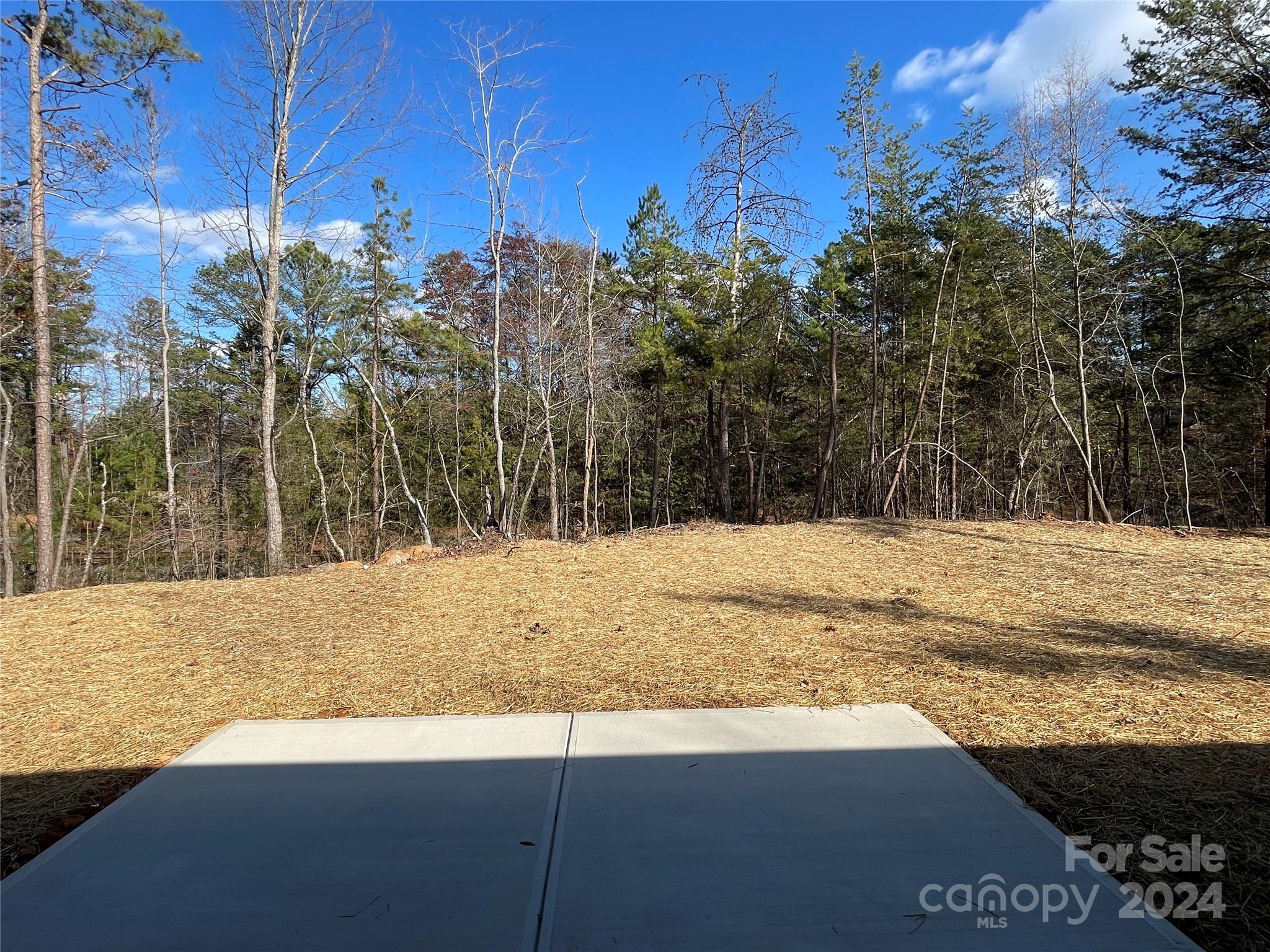 Stonewall Jackson Park - Residential