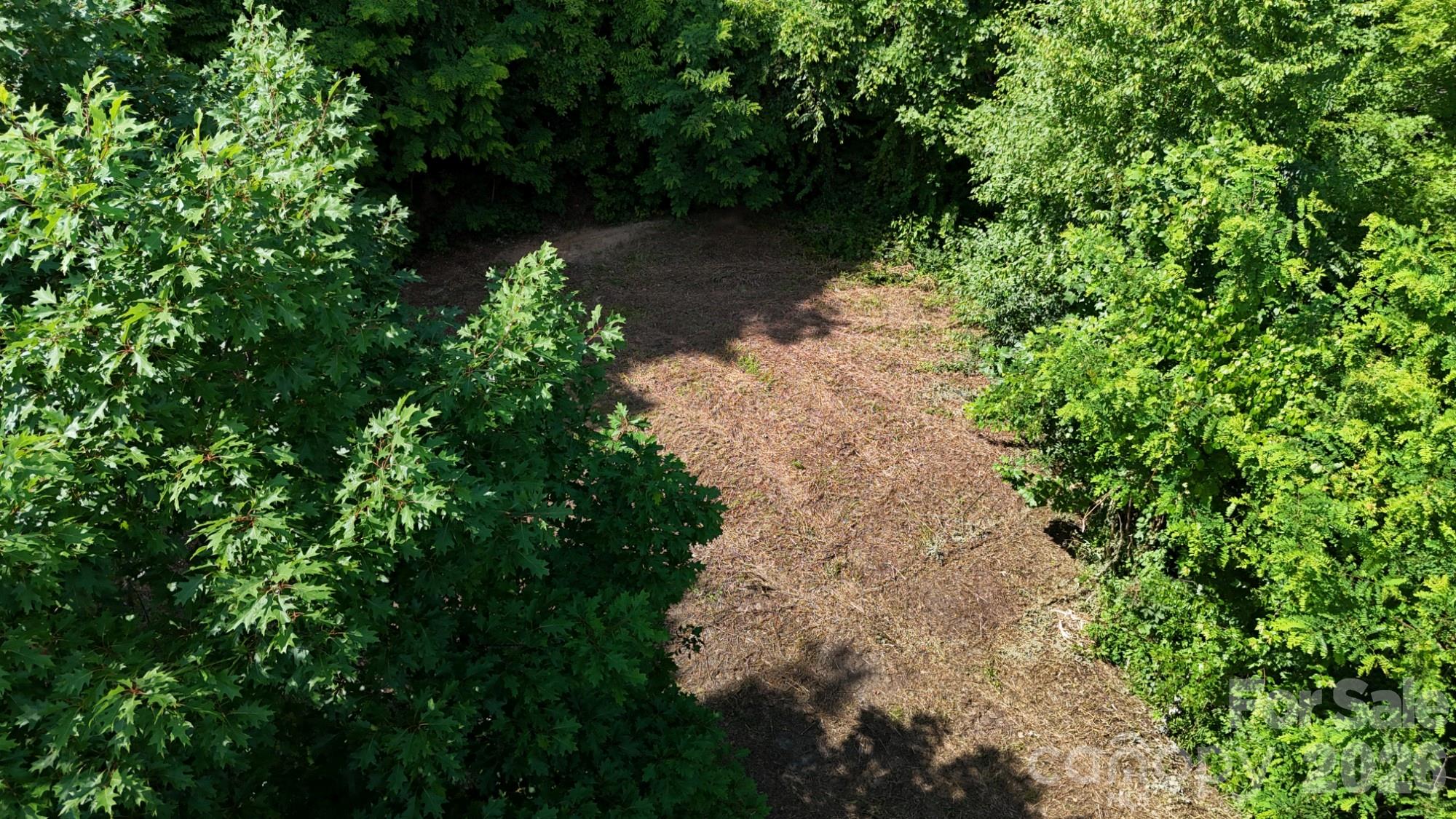 Cobblers Knob - Land