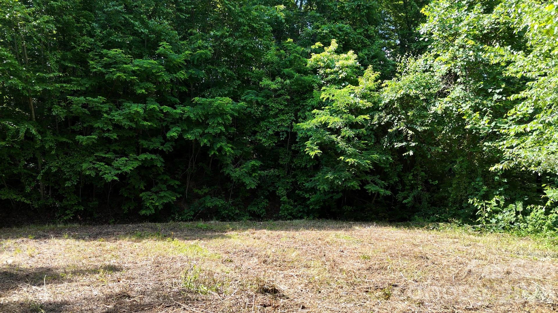 Cobblers Knob - Land