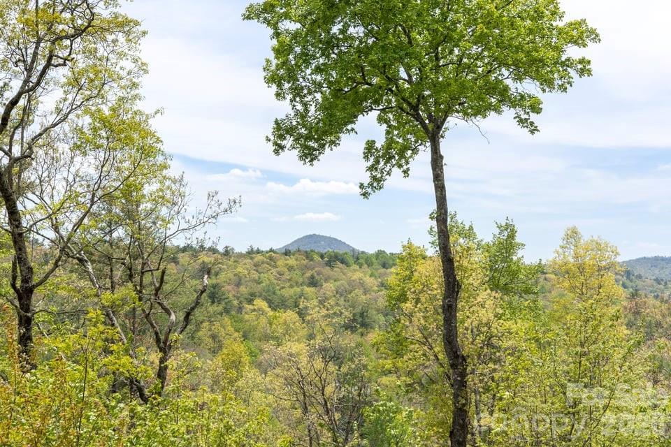 Bearfoot at Flat Mountain - Residential