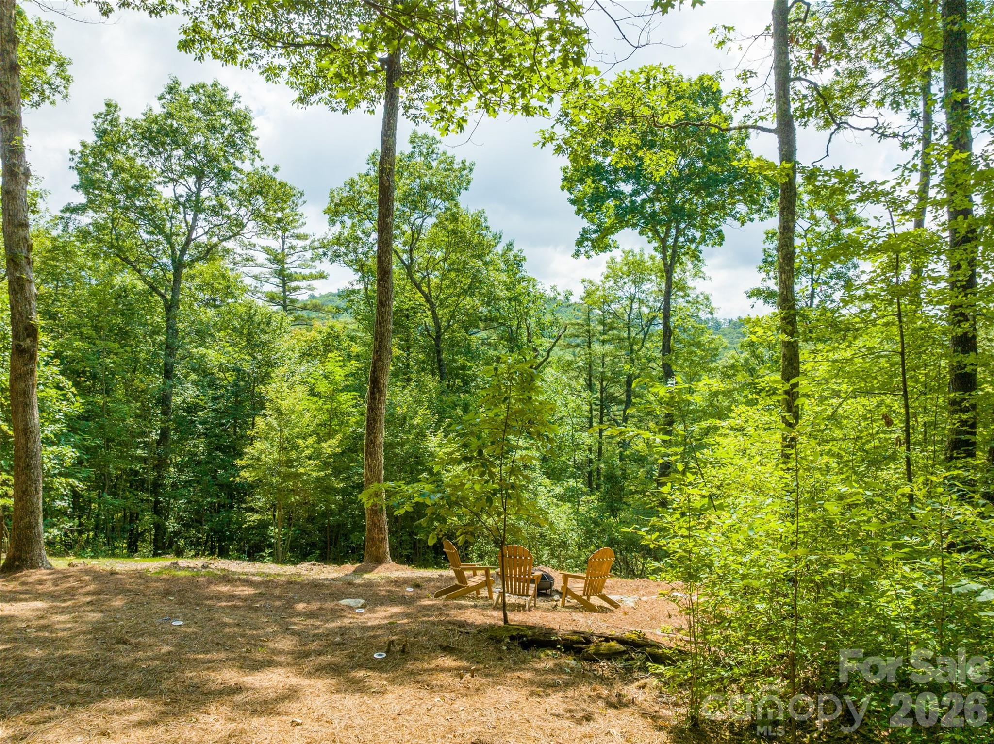 Bearfoot at Flat Mountain - Residential