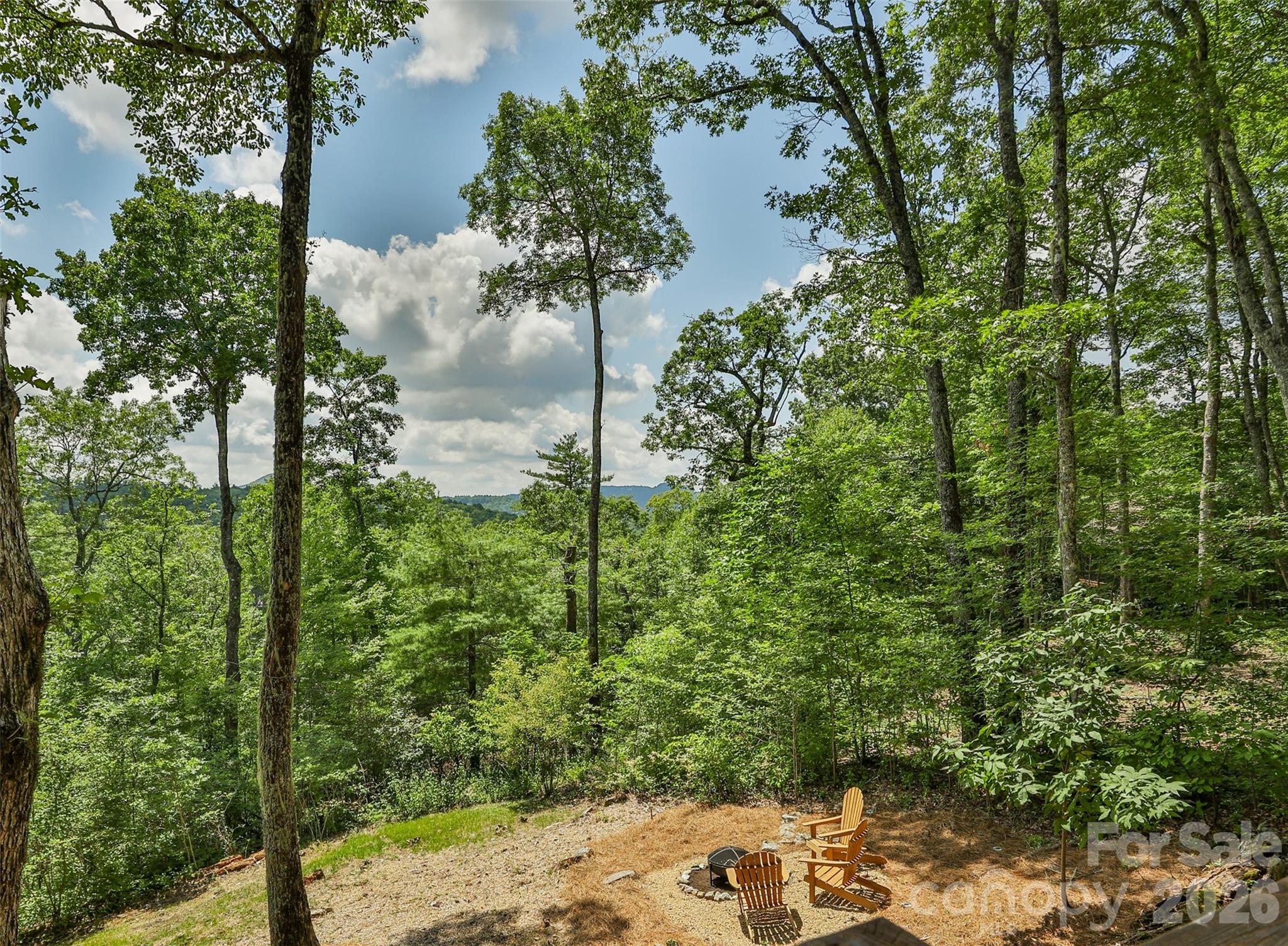 Bearfoot at Flat Mountain - Residential
