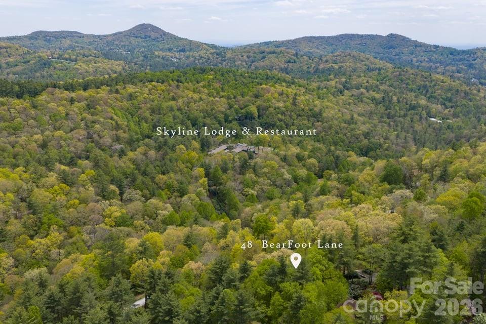 Bearfoot at Flat Mountain - Residential
