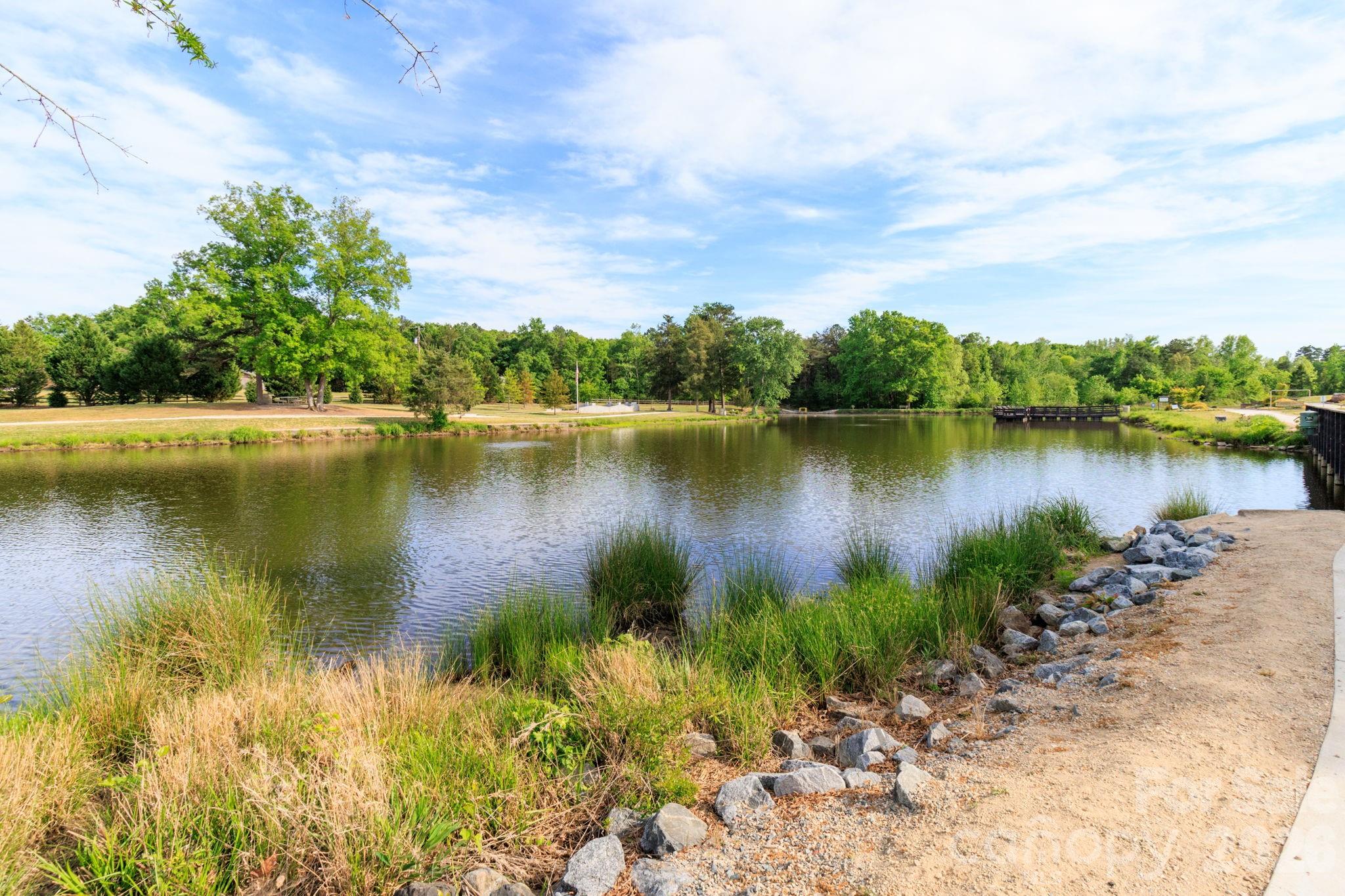 Saddlebrook - Residential