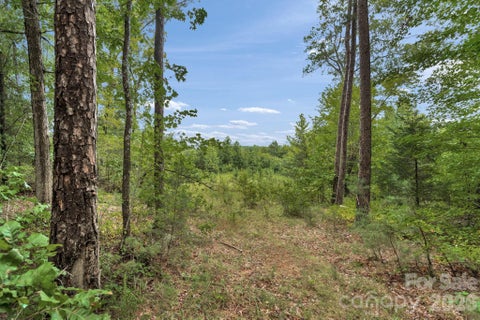 Photo of 00 Mountain Road, Cleveland, NC 27013 (MLS # 4425143)