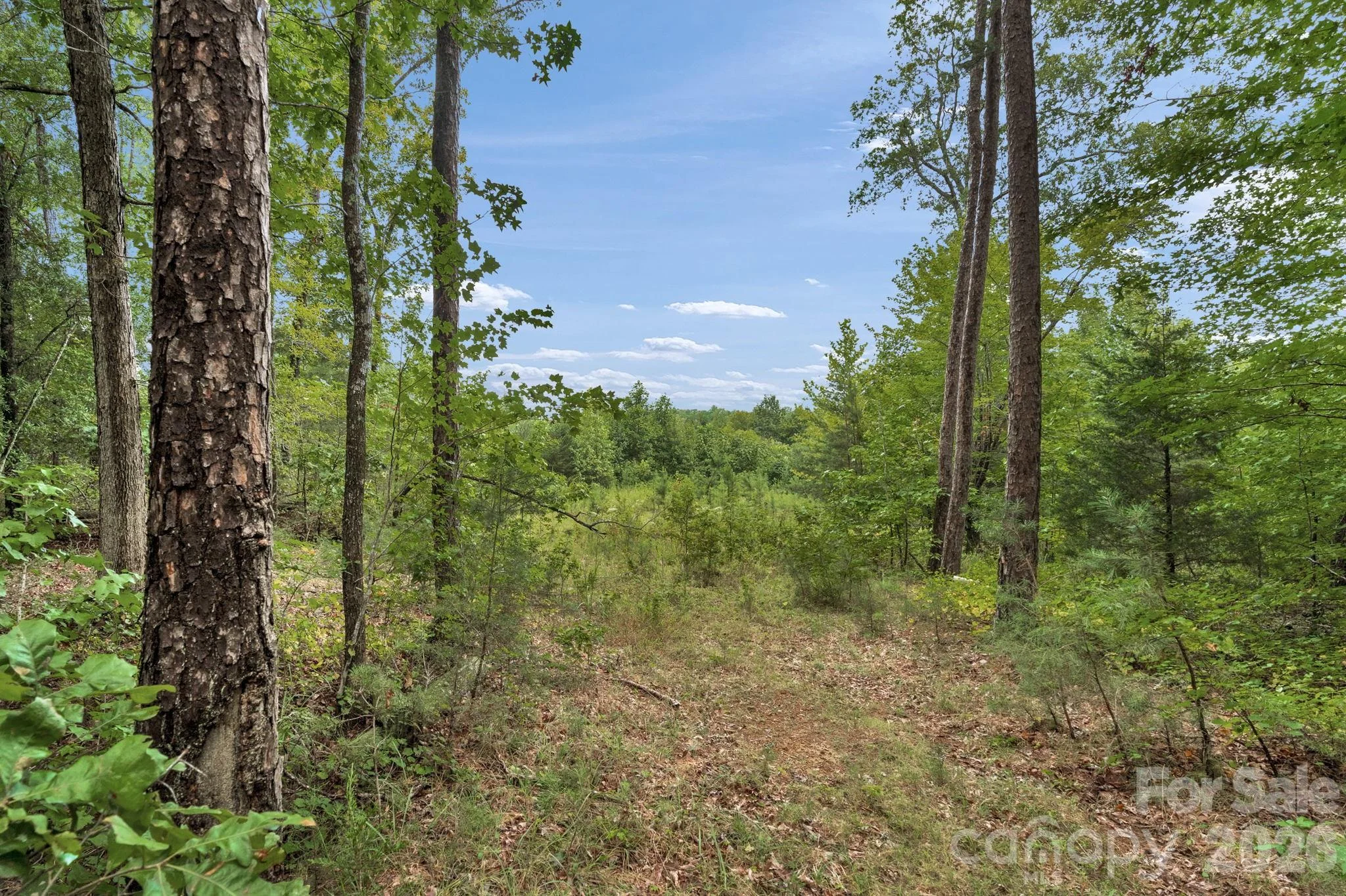 00 Mountain Road, Cleveland, NC, 27013