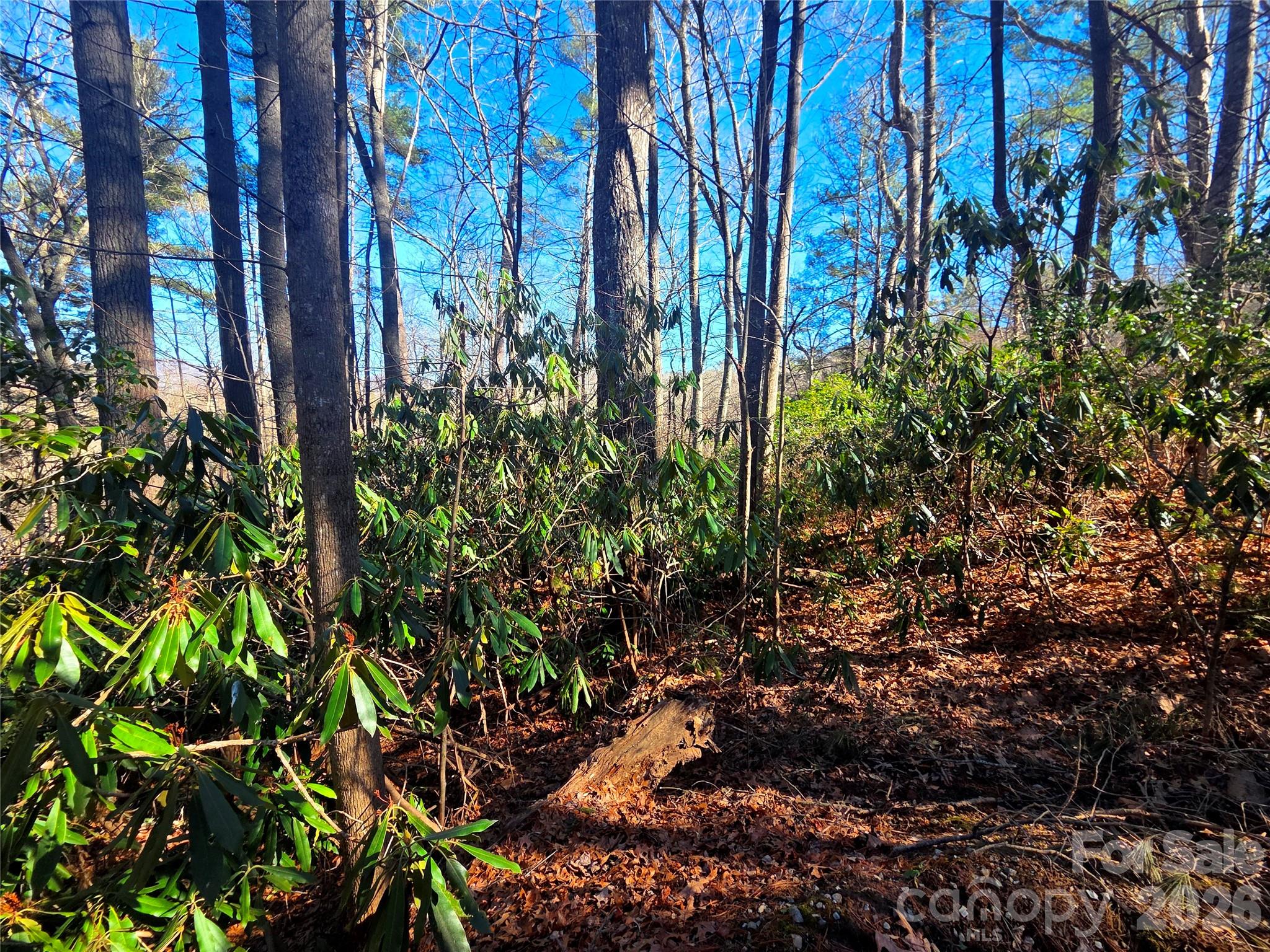 115 Fragrant Pine Drive 105