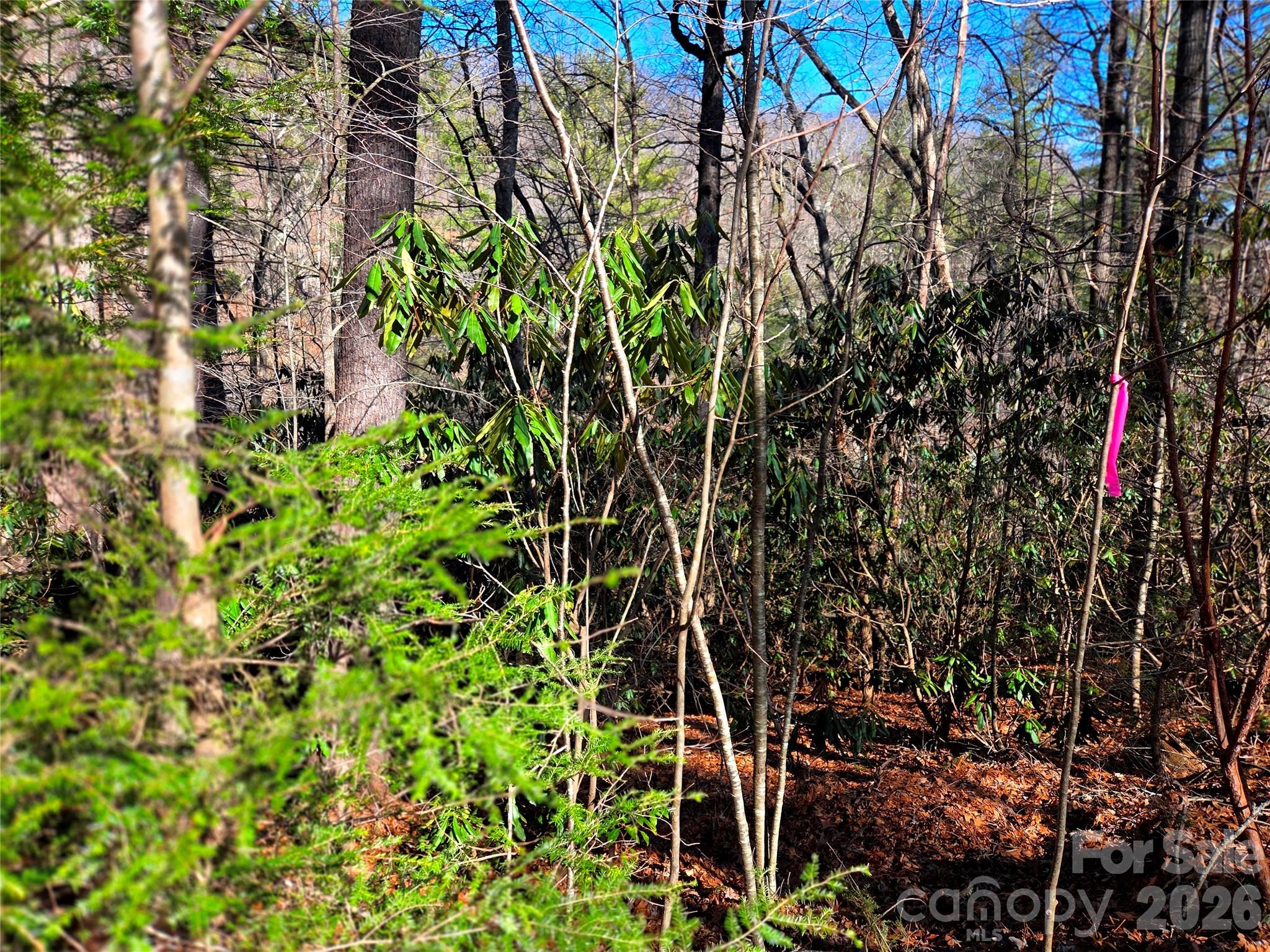 115 Fragrant Pine Drive 105