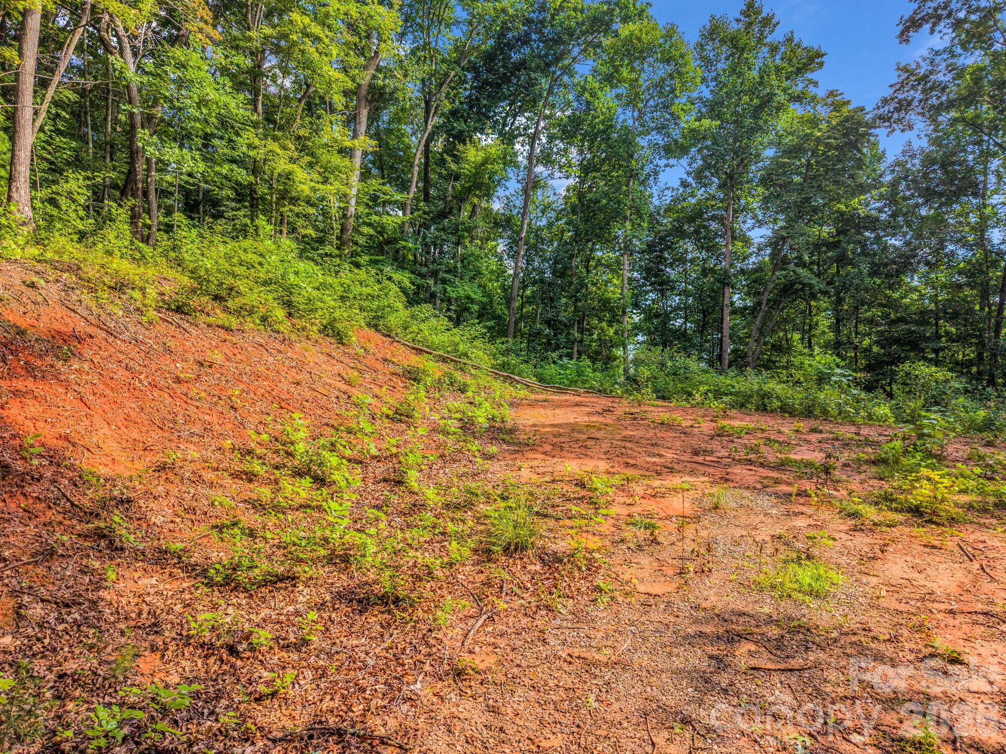 00 Patton Cove Road 6