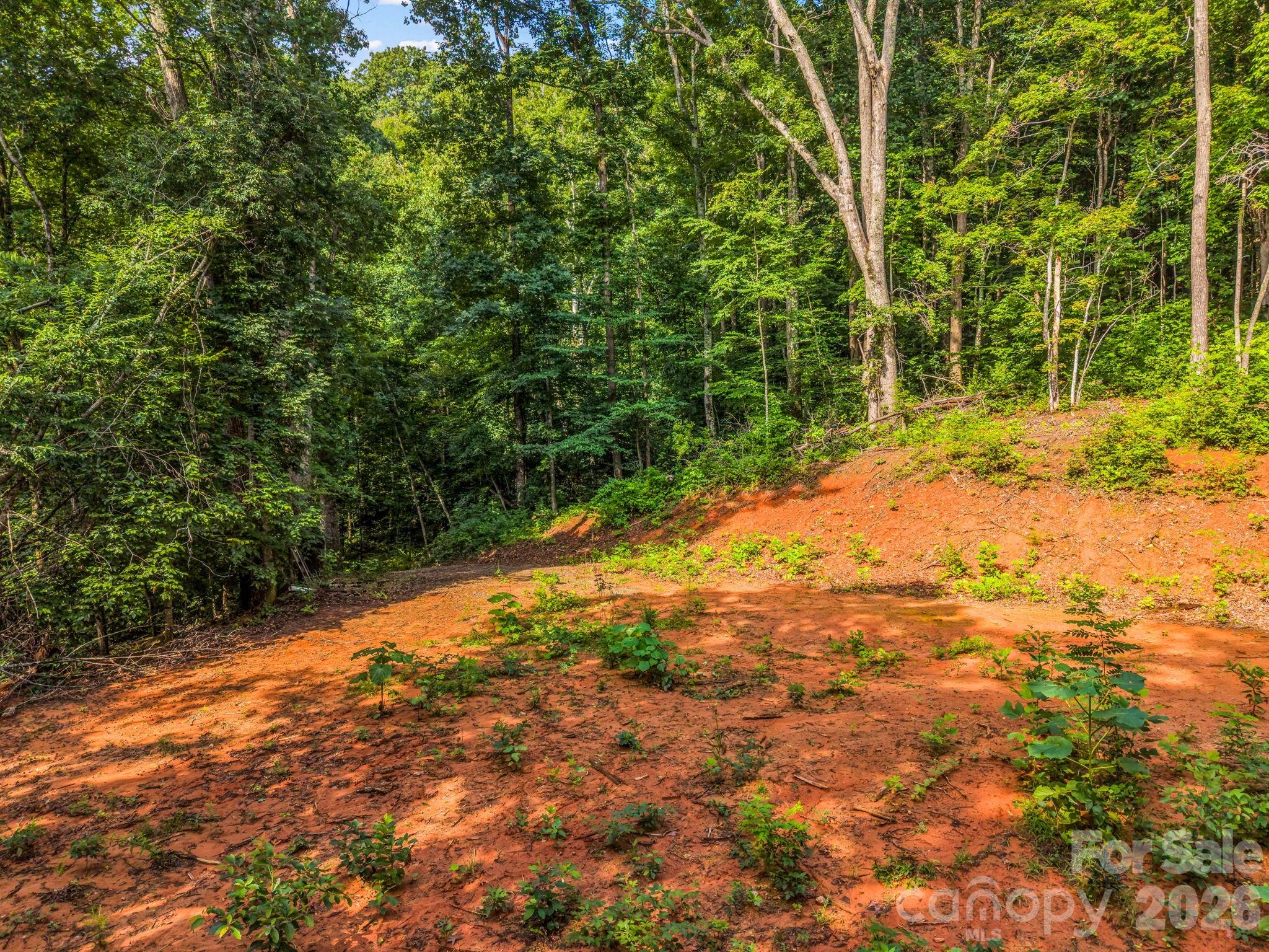 00 Patton Cove Road 6