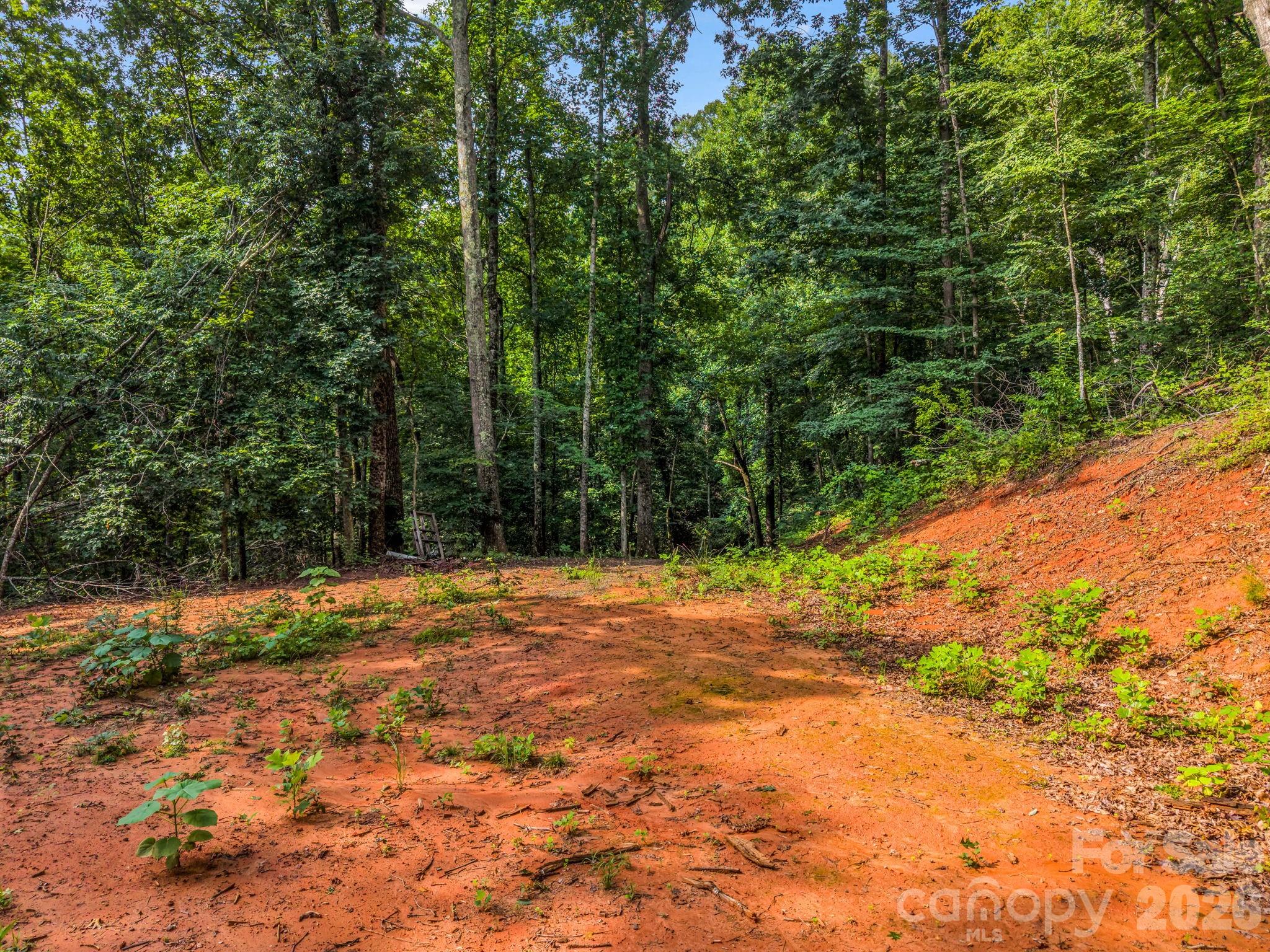 00 Patton Cove Road 6