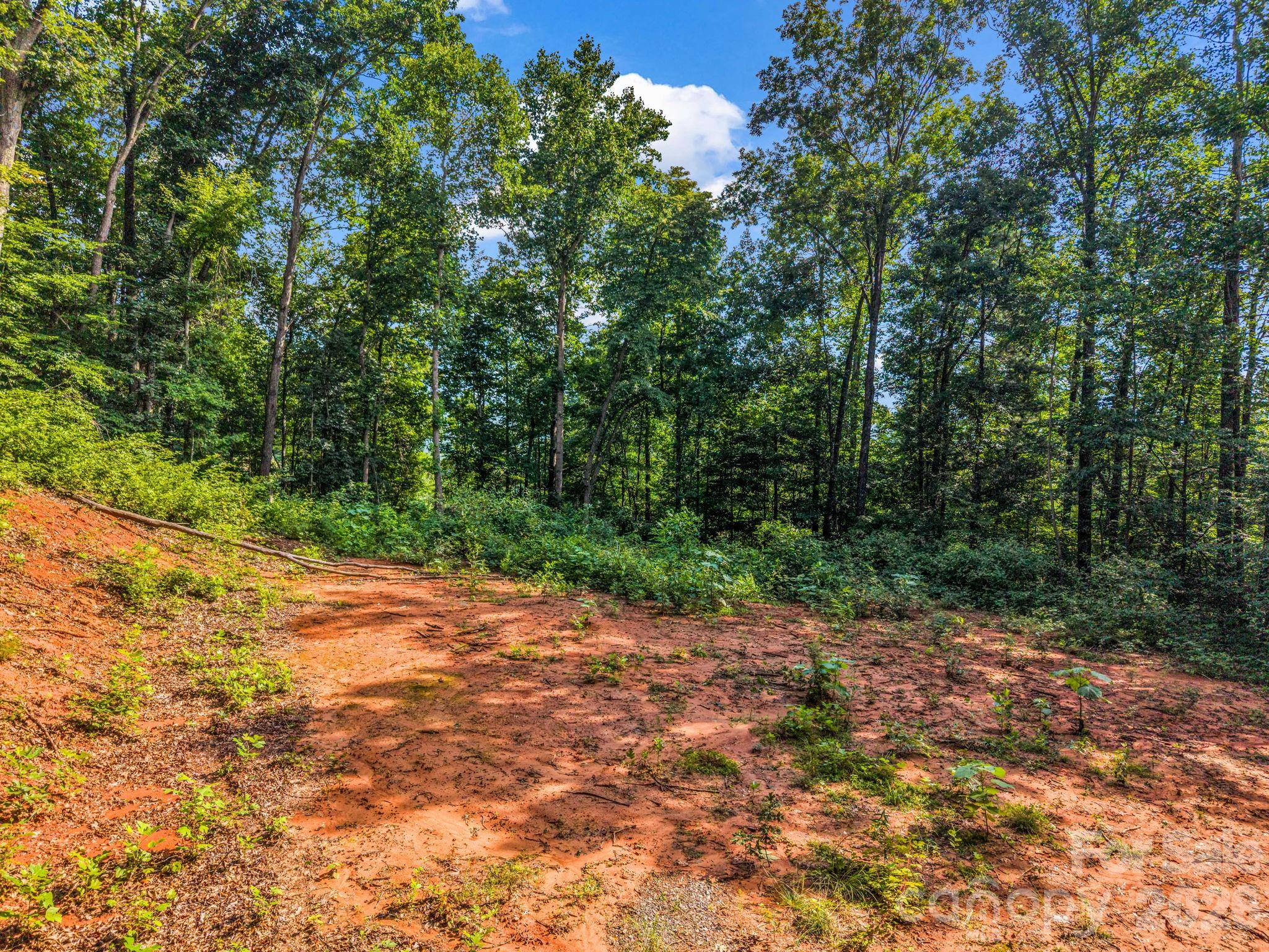 00 Patton Cove Road 6