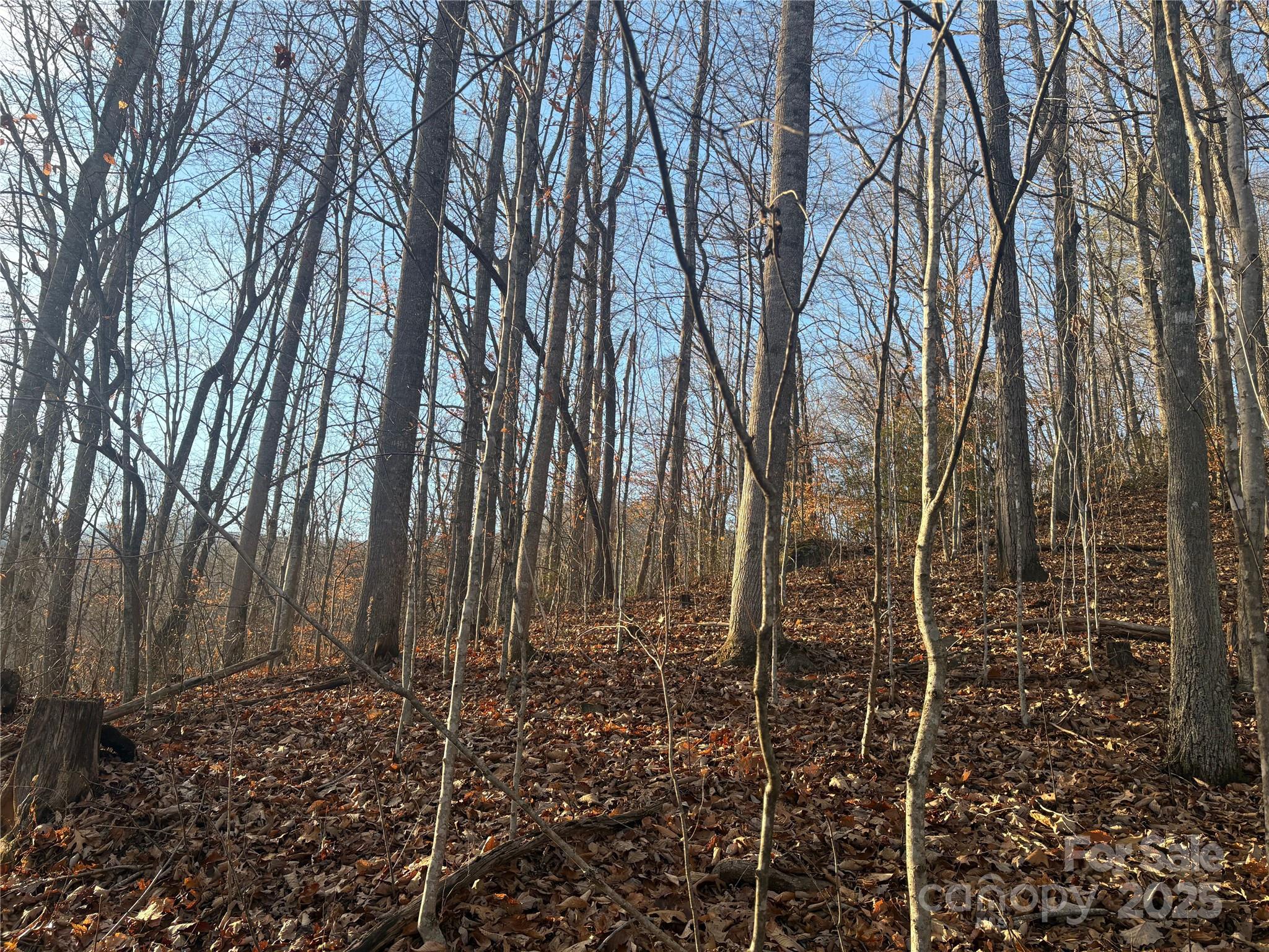 Mountain Valley Estates - Land