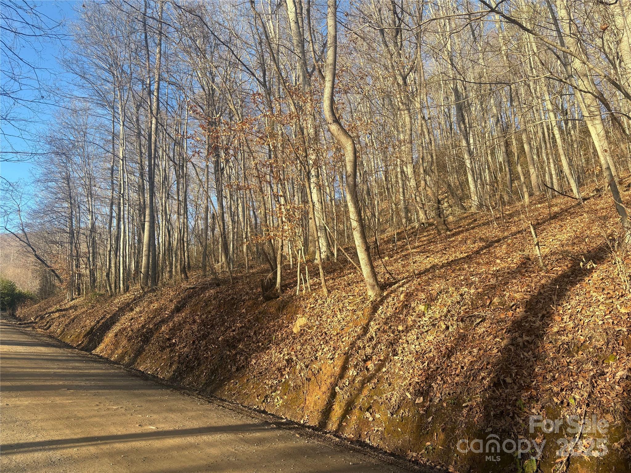 Mountain Valley Estates - Land