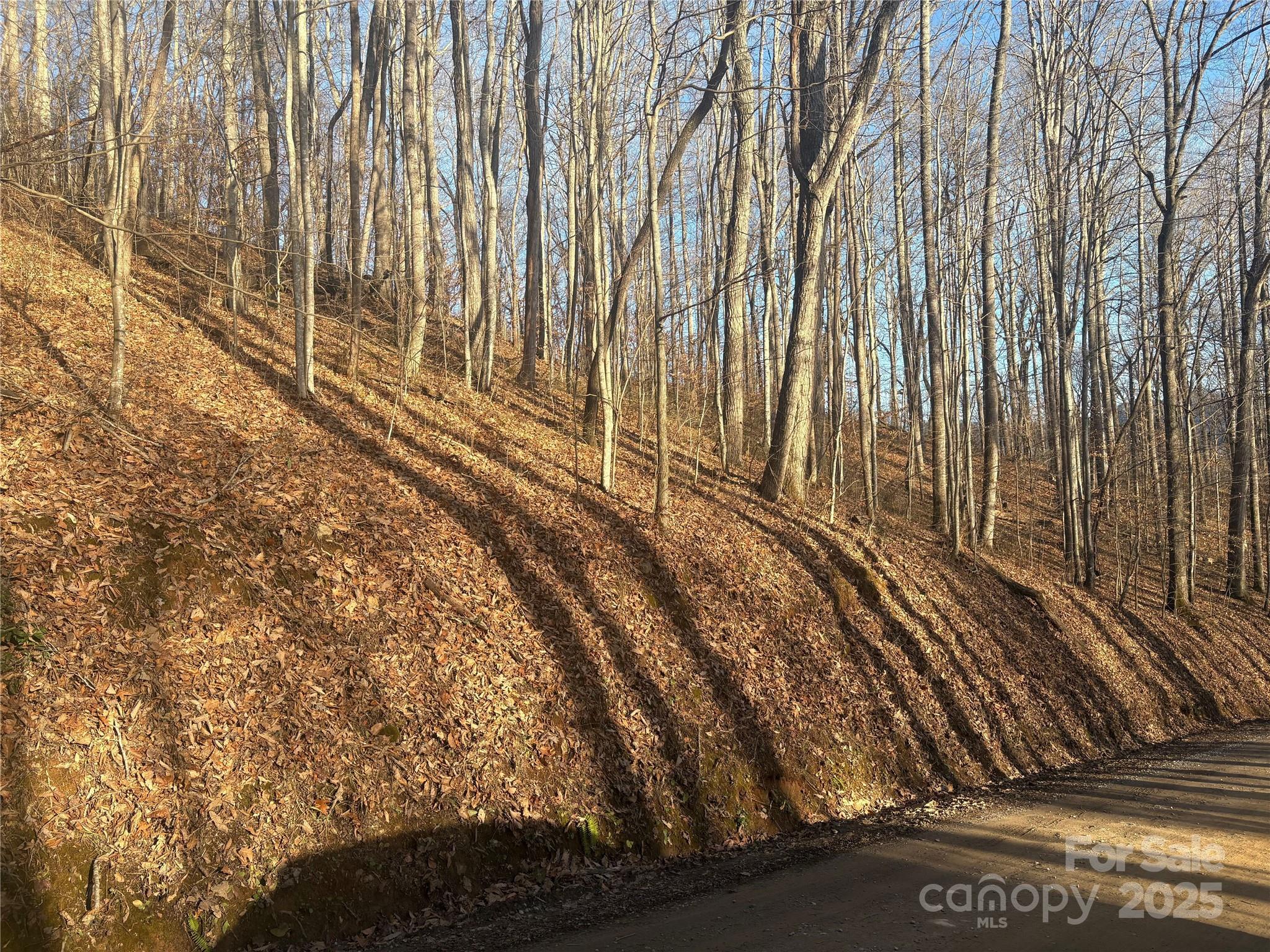 Mountain Valley Estates - Land