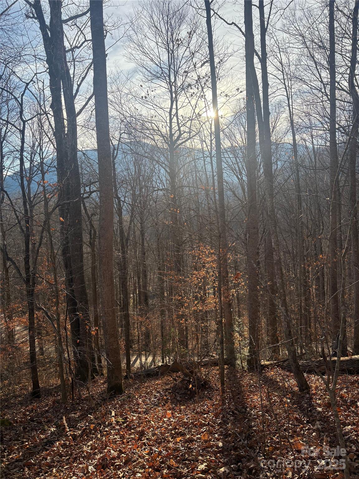 Mountain Valley Estates - Land