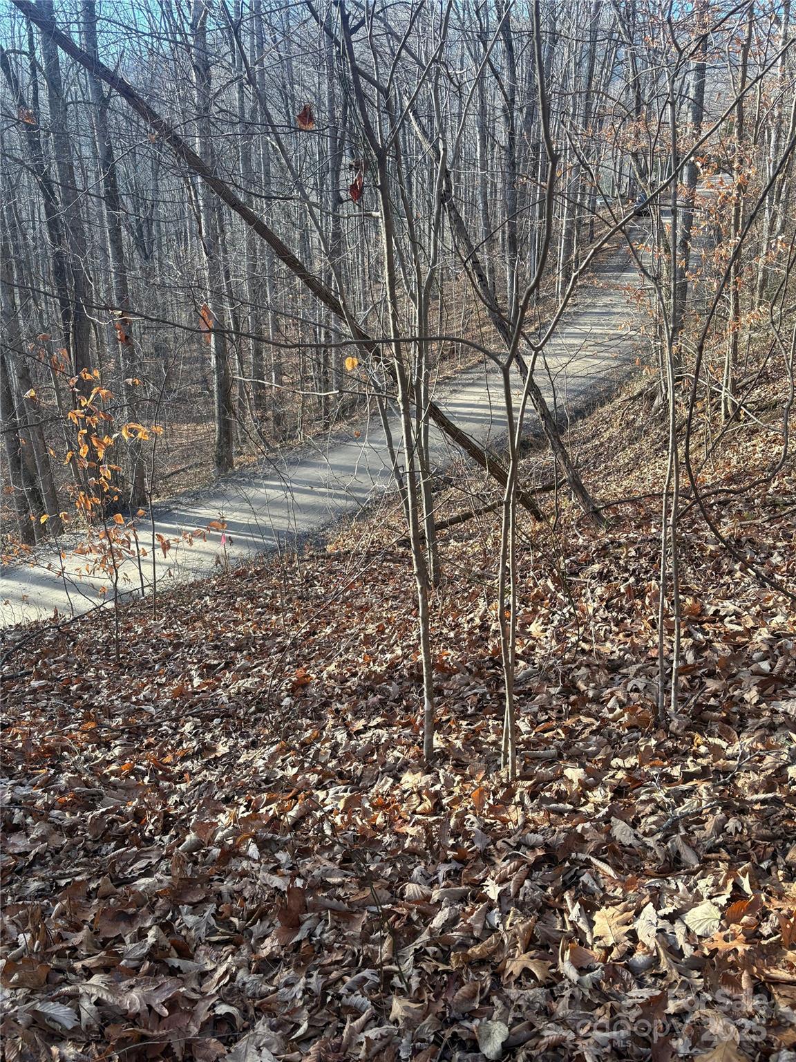 Mountain Valley Estates - Land