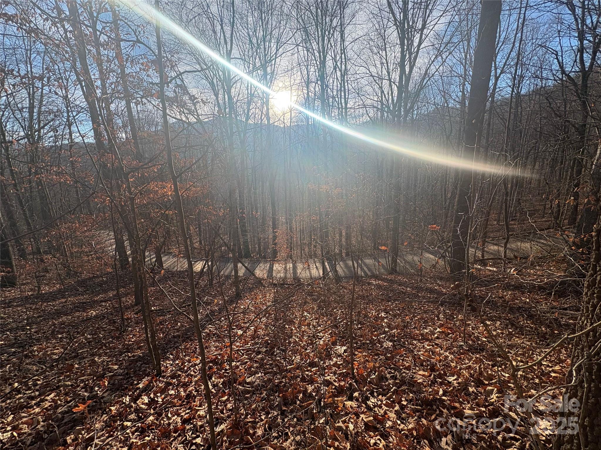 TBD Upward Way 236 & 237