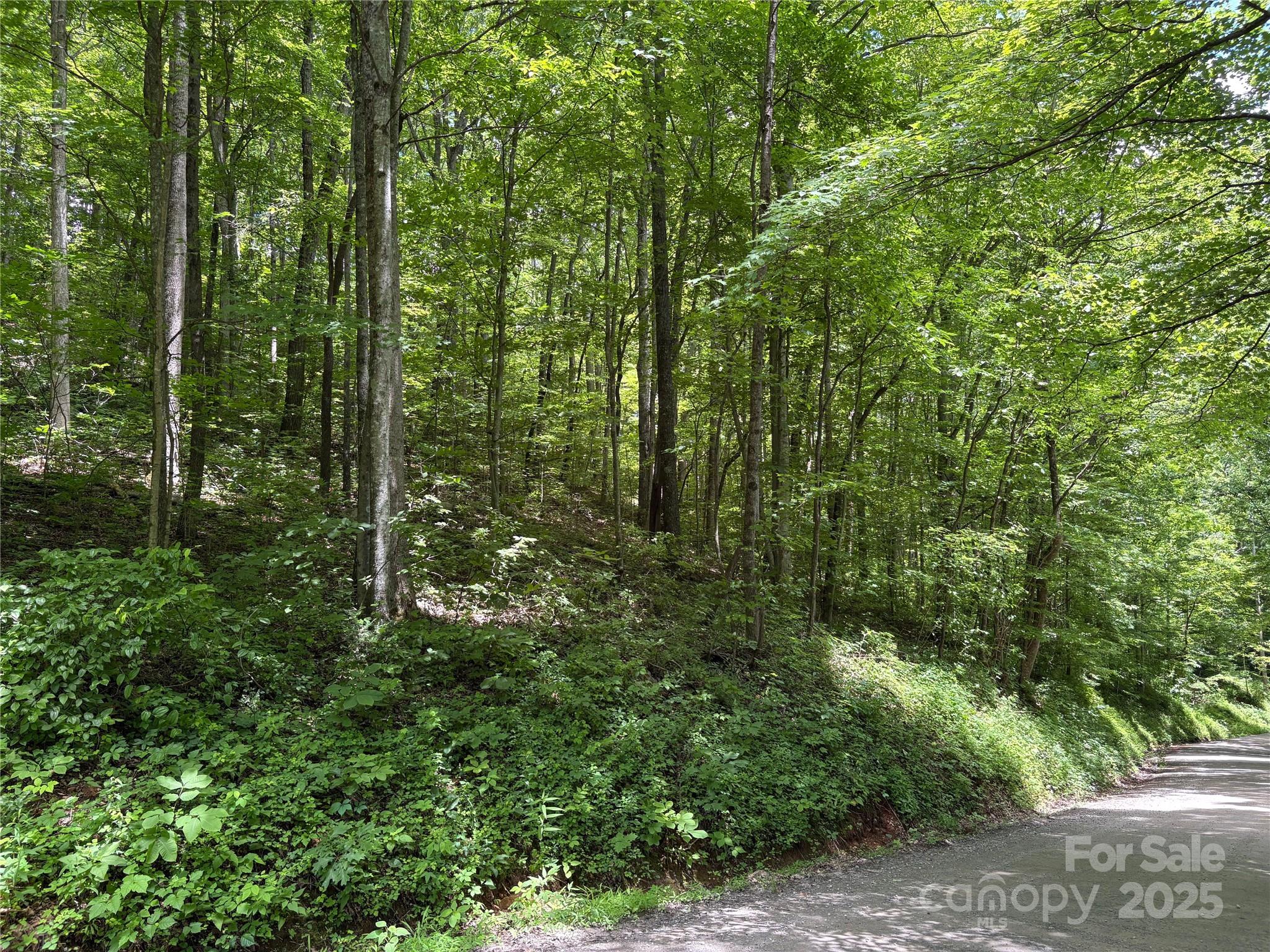 Mountain Valley Estates - Land