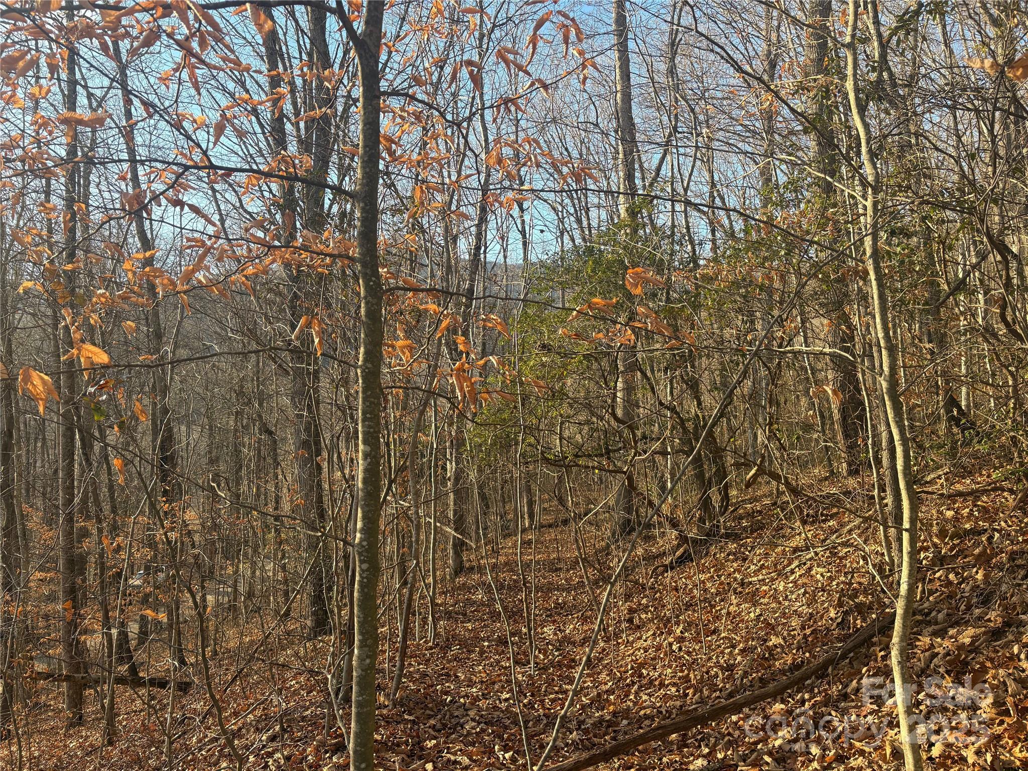 Mountain Valley Estates - Land