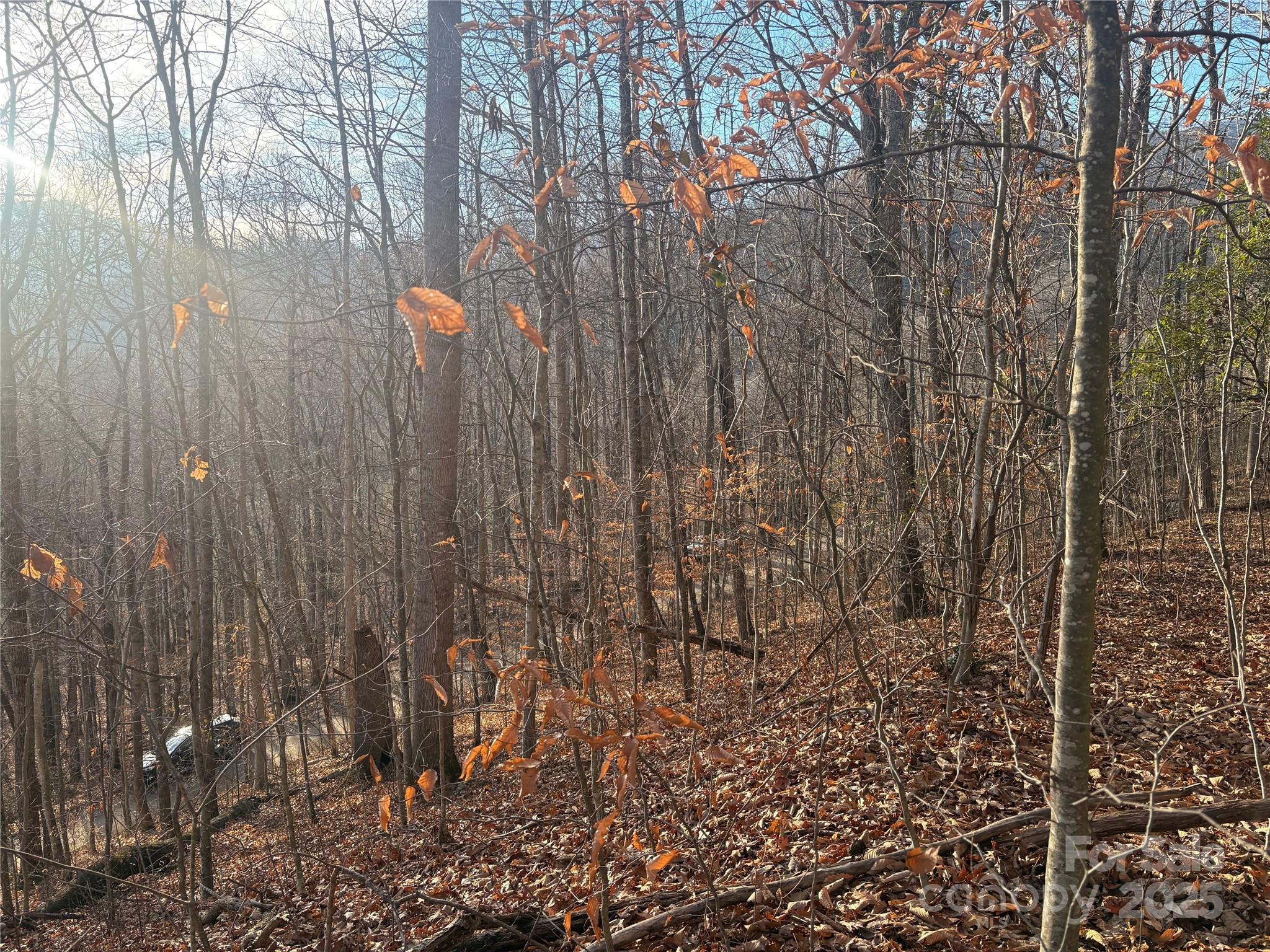 Mountain Valley Estates - Land