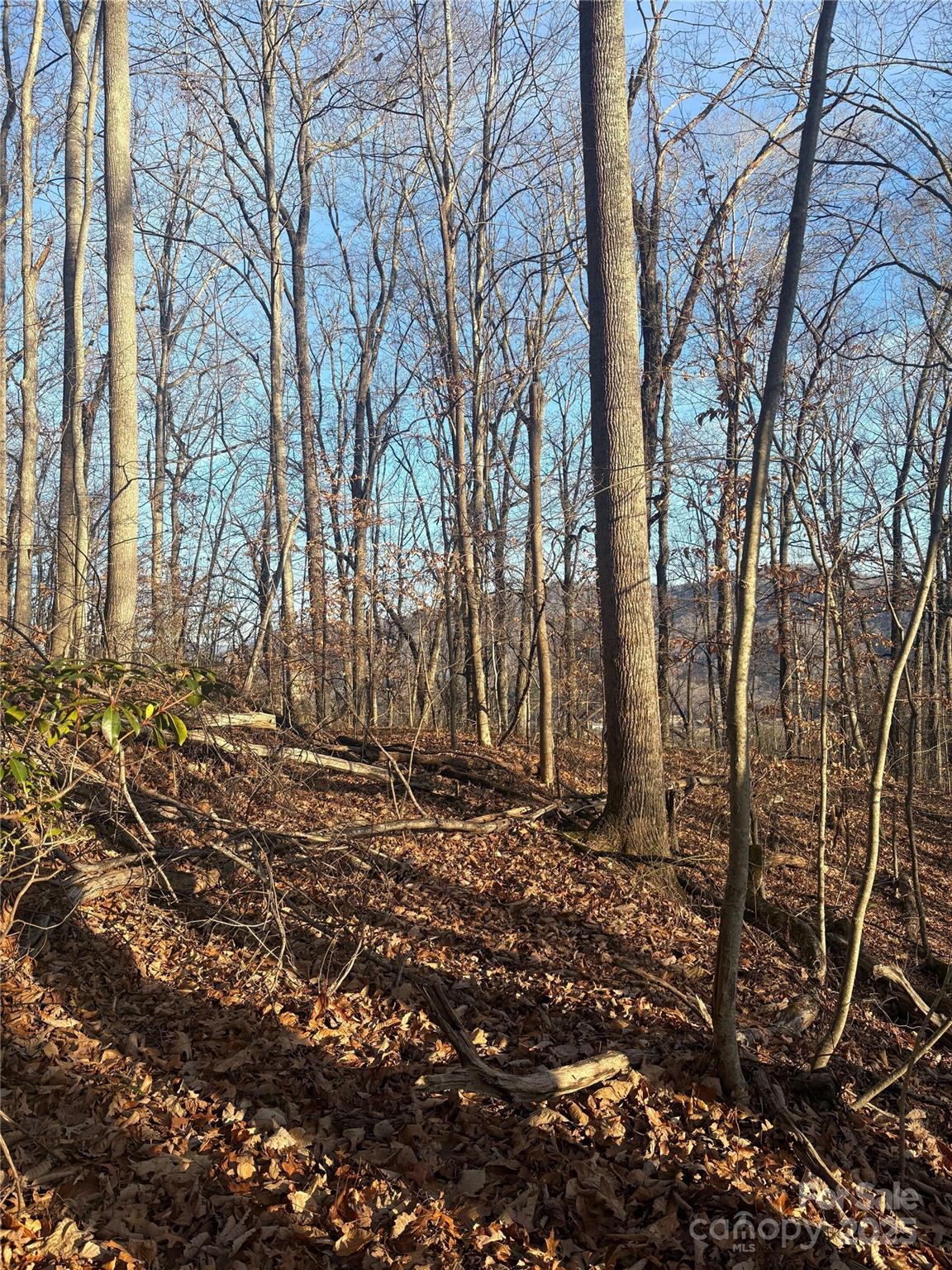 Mountain Valley Estates - Land