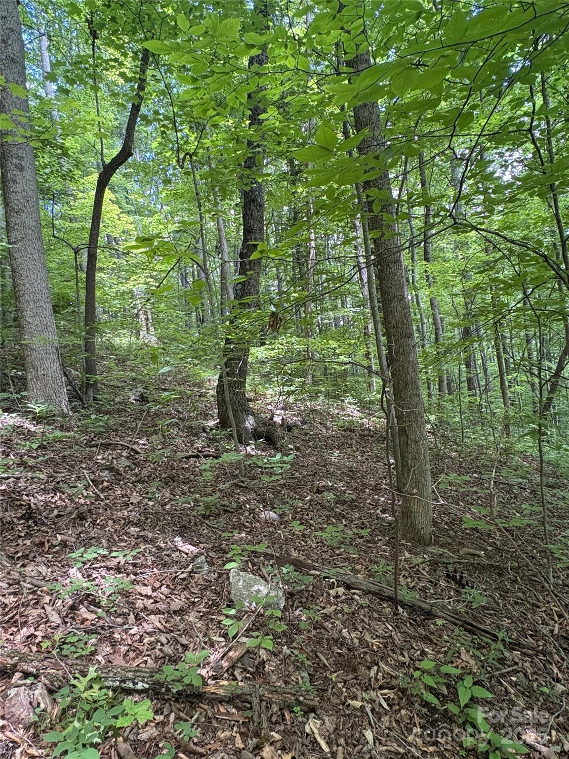 Mountain Valley Estates - Land