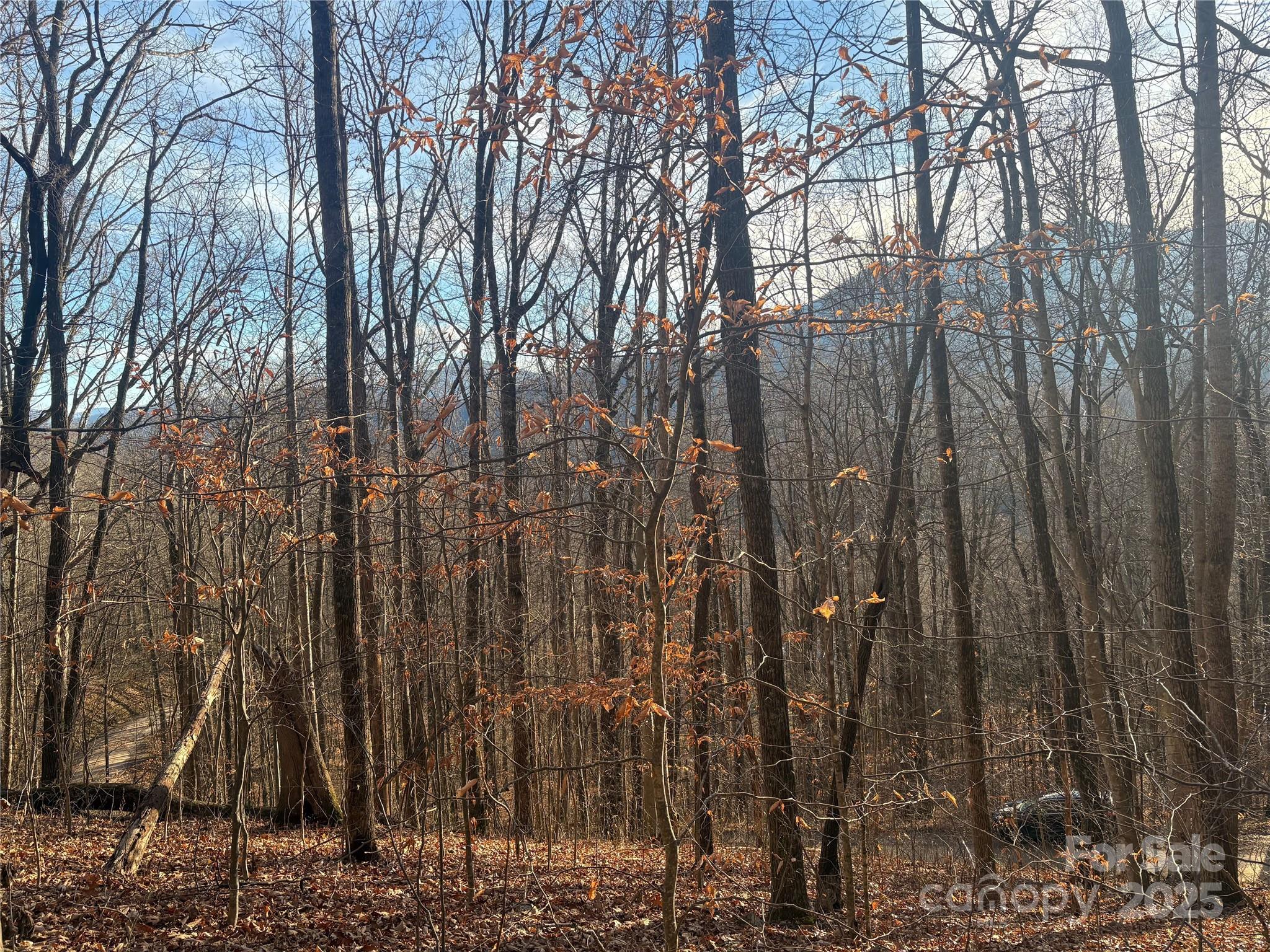 Mountain Valley Estates - Land