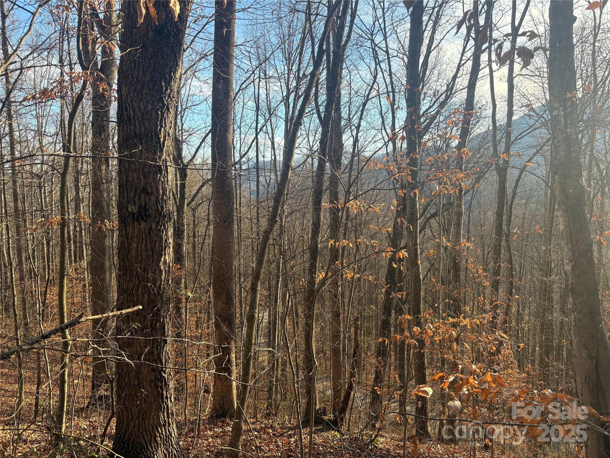 Mountain Valley Estates - Land