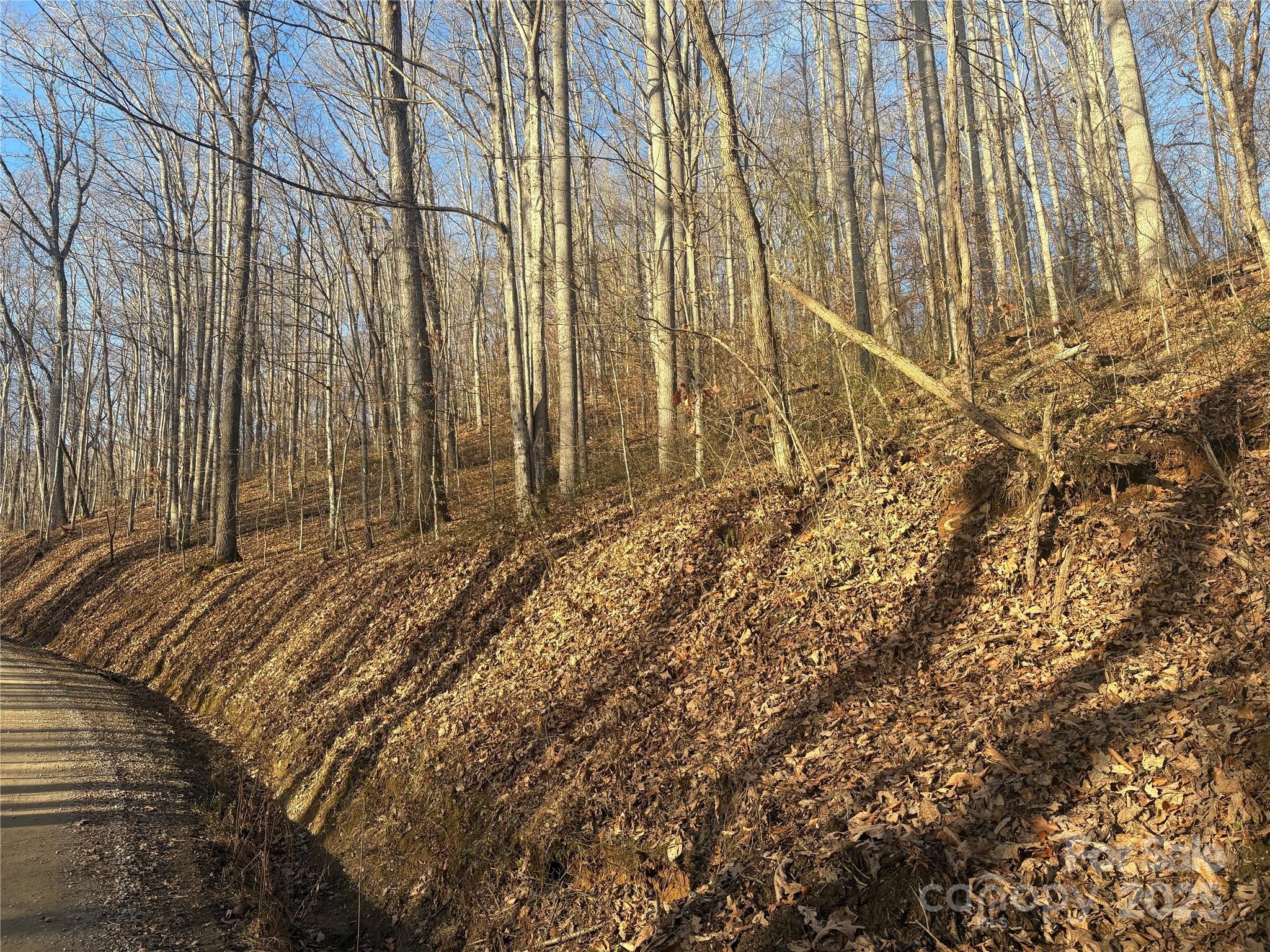 Mountain Valley Estates - Land