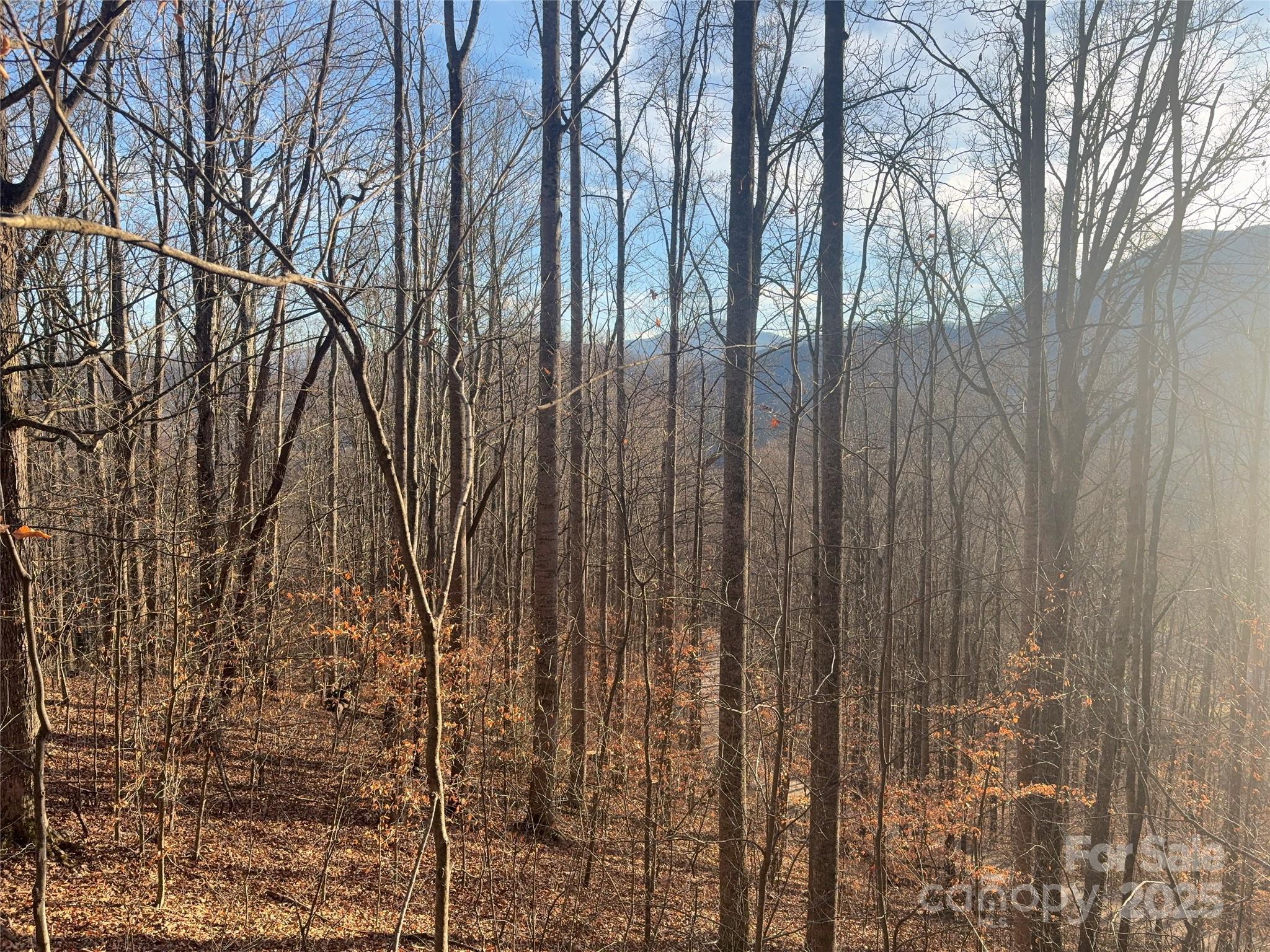 Mountain Valley Estates - Land