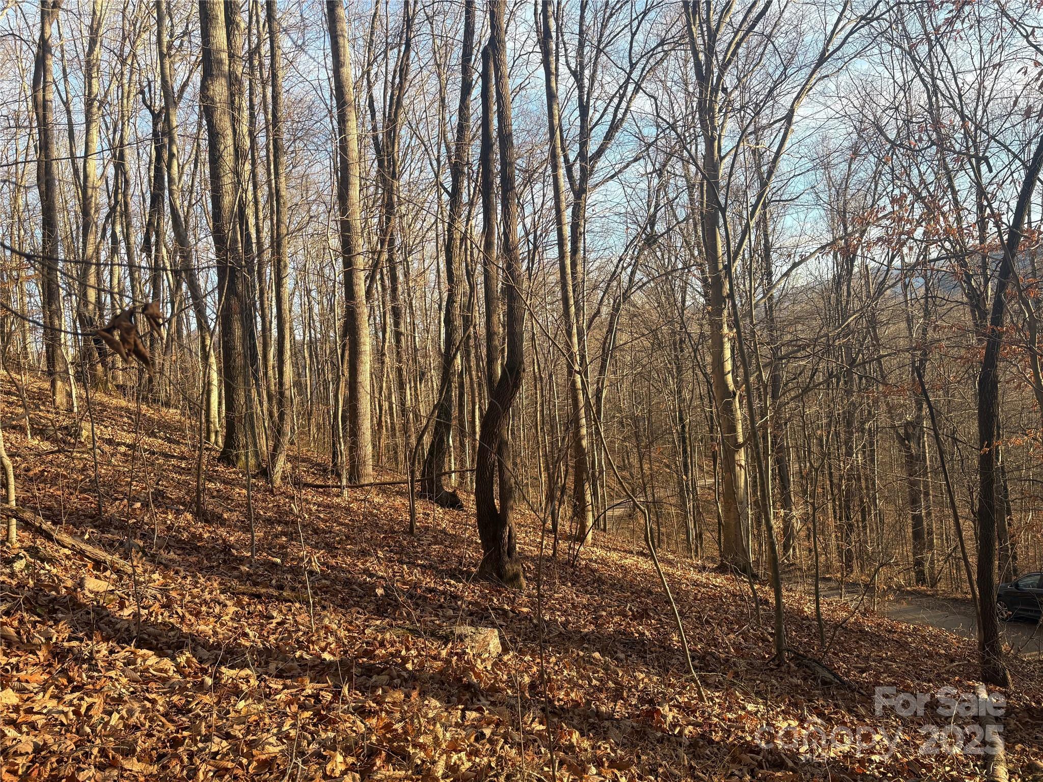 TBD Upward Way 236 & 237