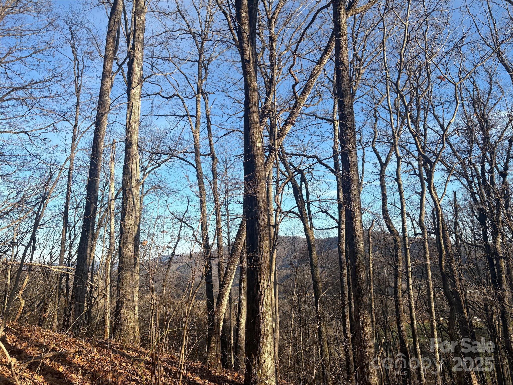 TBD Upward Way 236 & 237