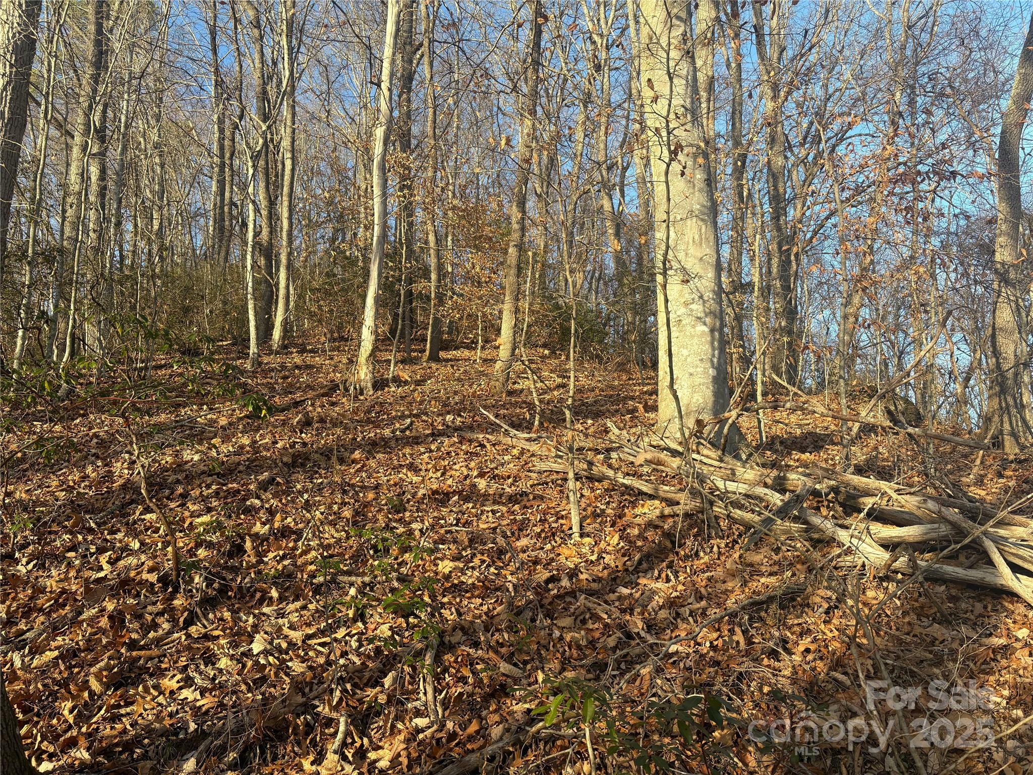 Mountain Valley Estates - Land