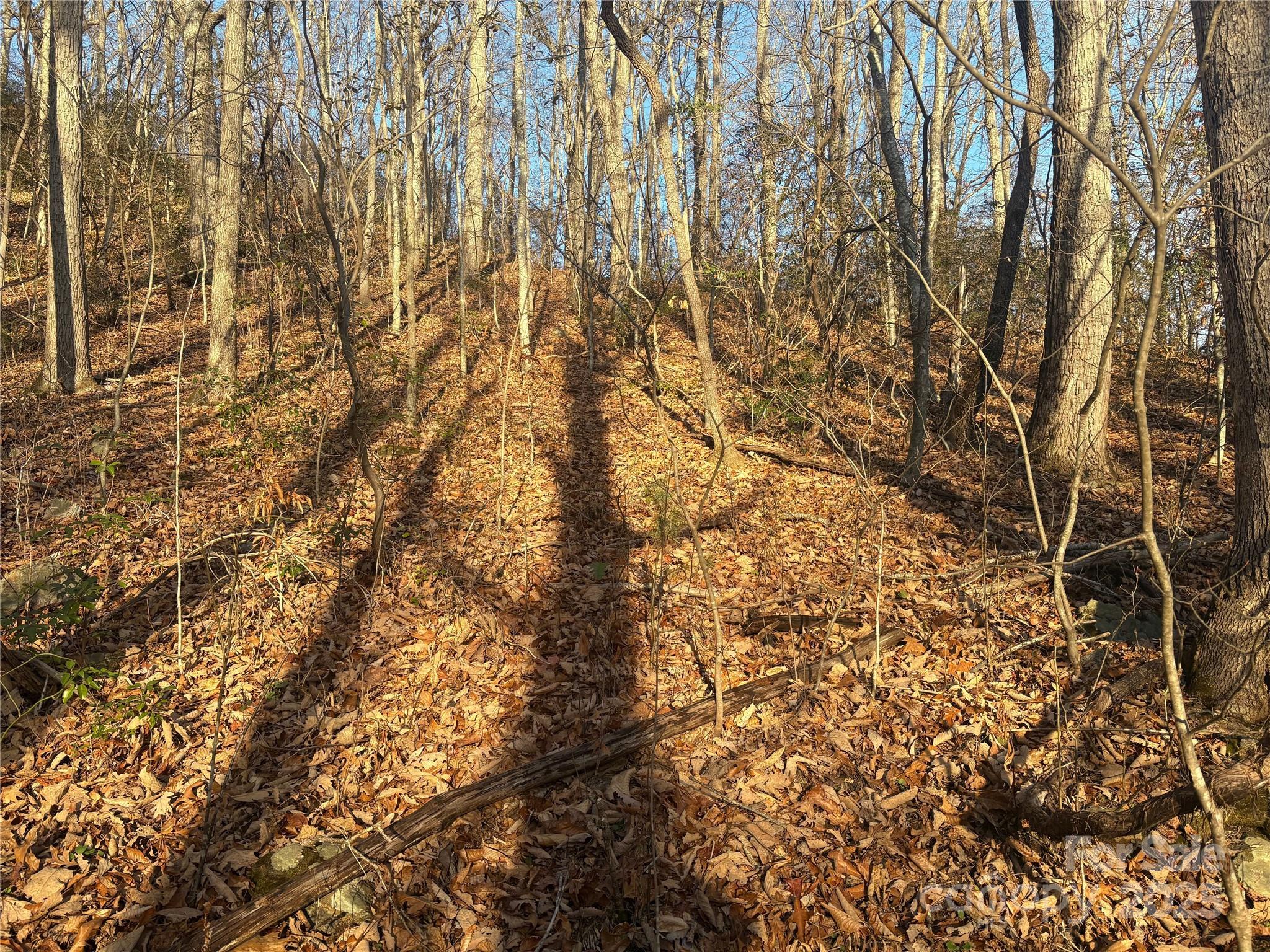 Mountain Valley Estates - Land