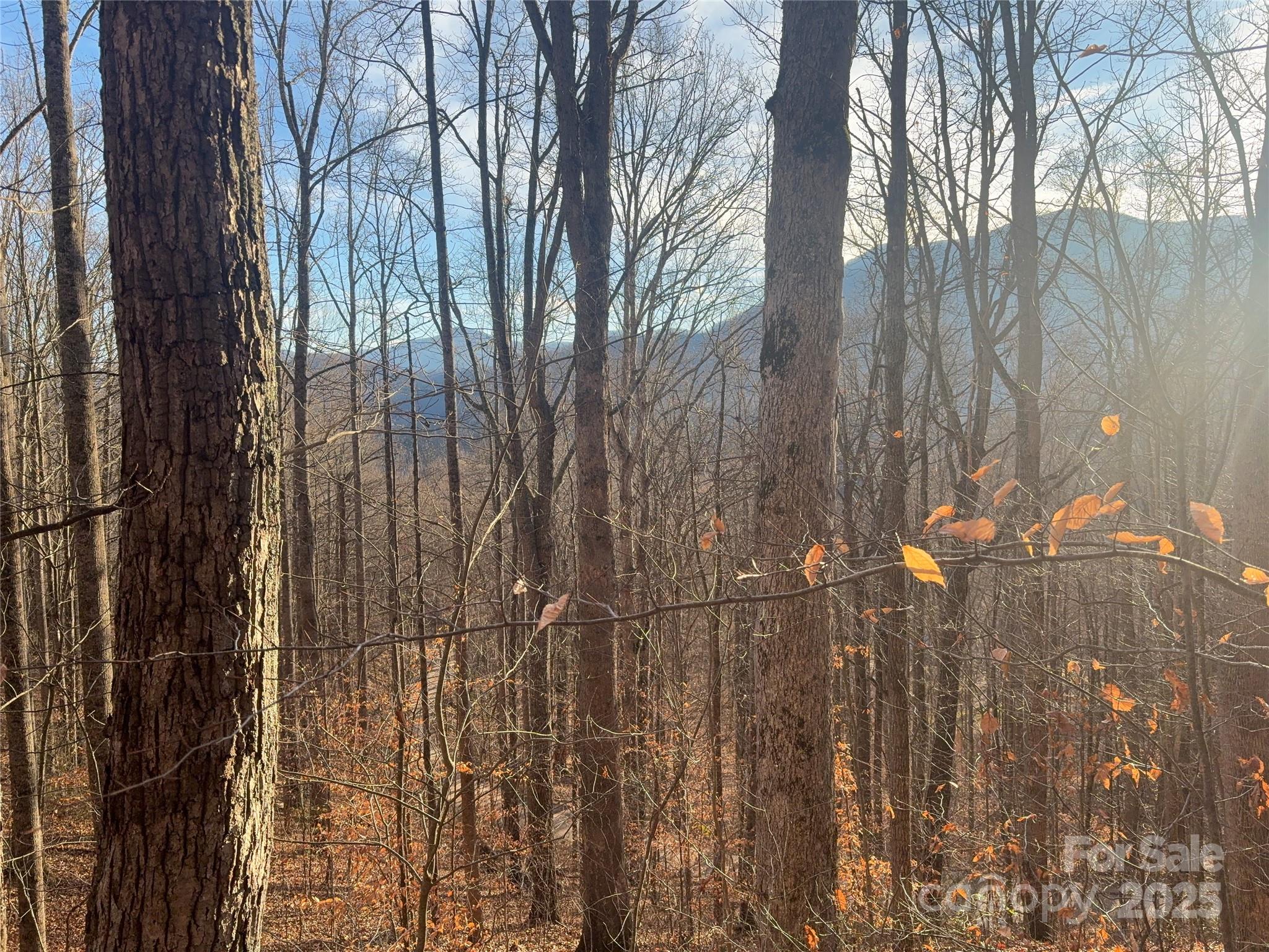 Mountain Valley Estates - Land