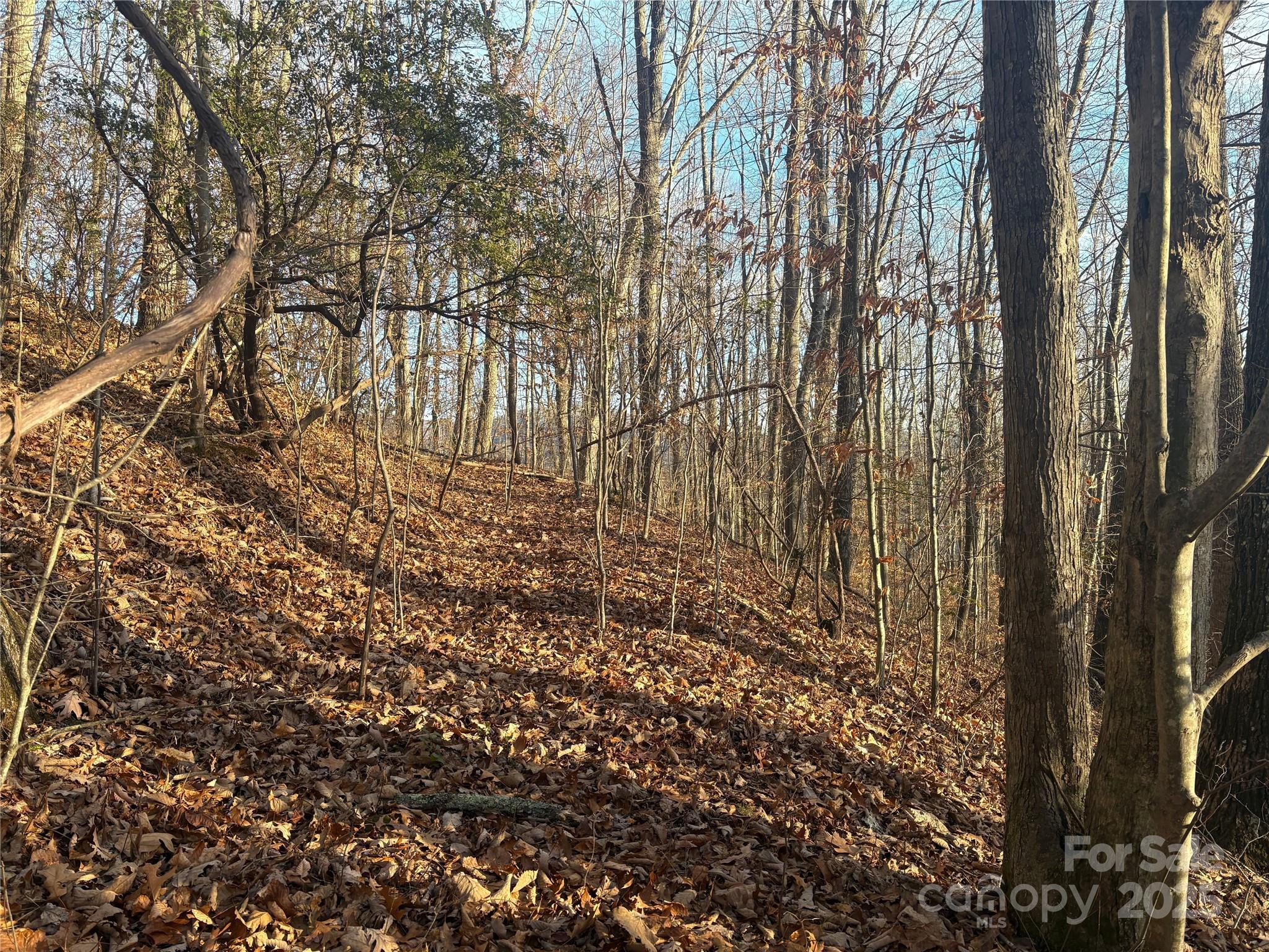 Mountain Valley Estates - Land