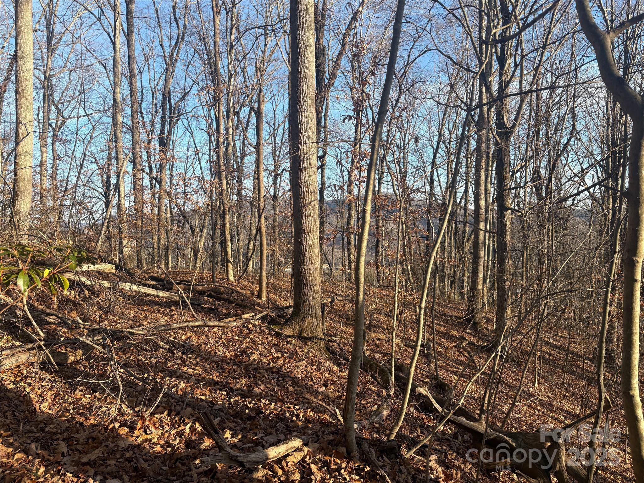 TBD Upward Way 236 & 237