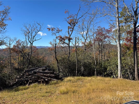 29 NORMCOL DR, PISGAH FOREST, NC 28768 - Image 57c66701499f2f01bfd97dea49ecbc0a/715537278
