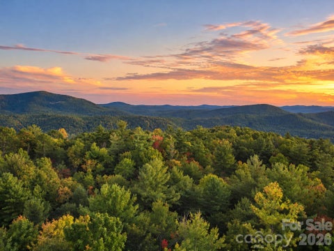 Photo of 000 Bulling Creek Road, Penrose, NC 28766 (MLS # 4426386)