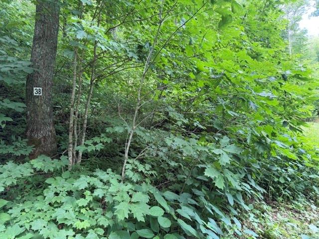 Lot 38 Yanasa Trail 38