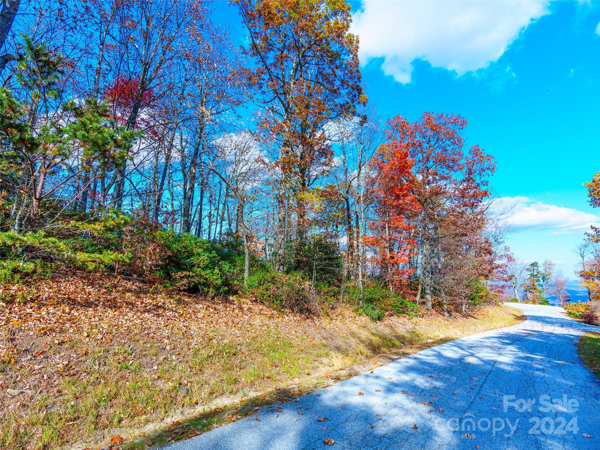 9999 Cliffledge Trail 25